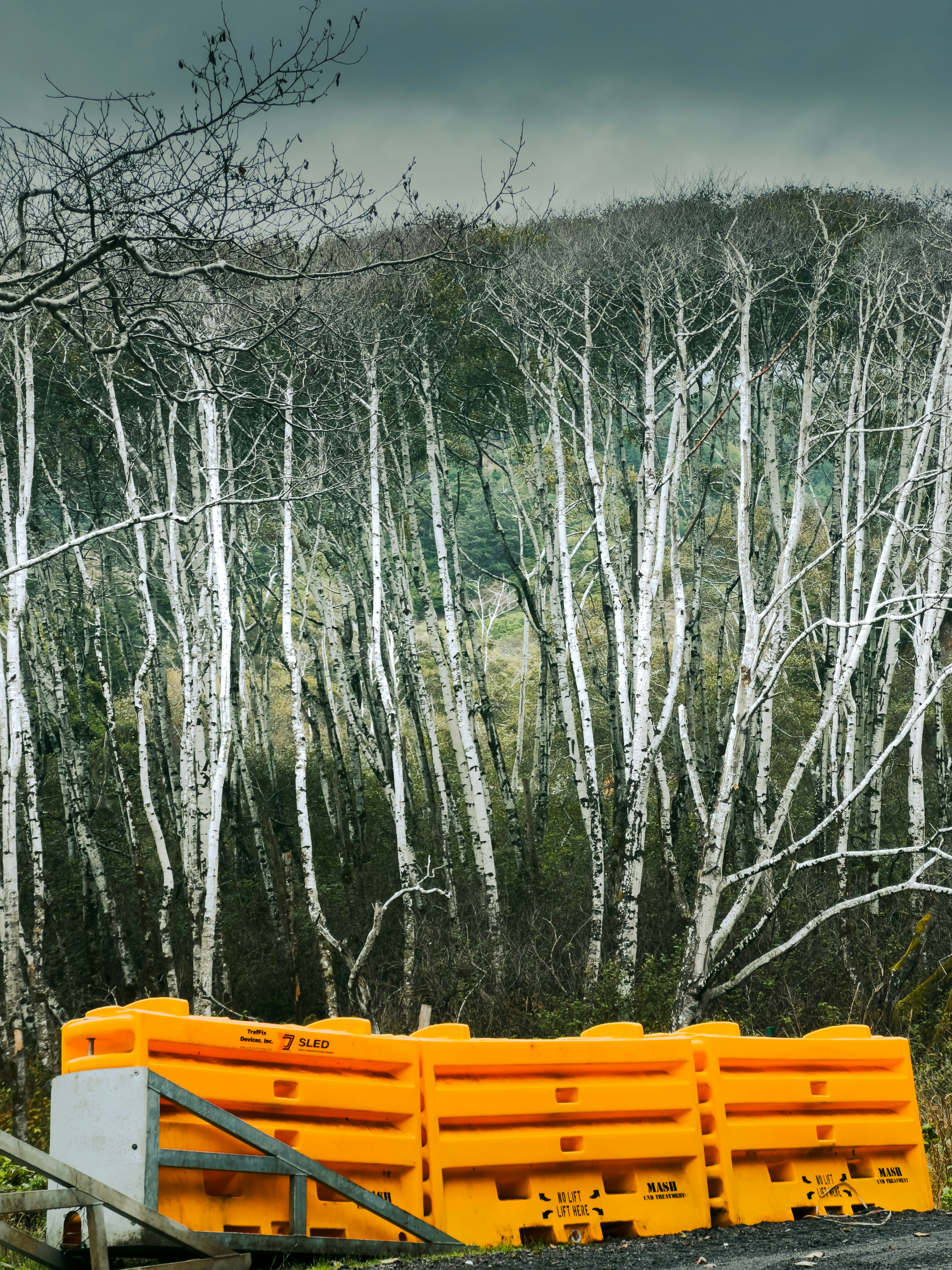 Değişim Yönetimi: İş Hayatında Değişime Uyum Sağlama