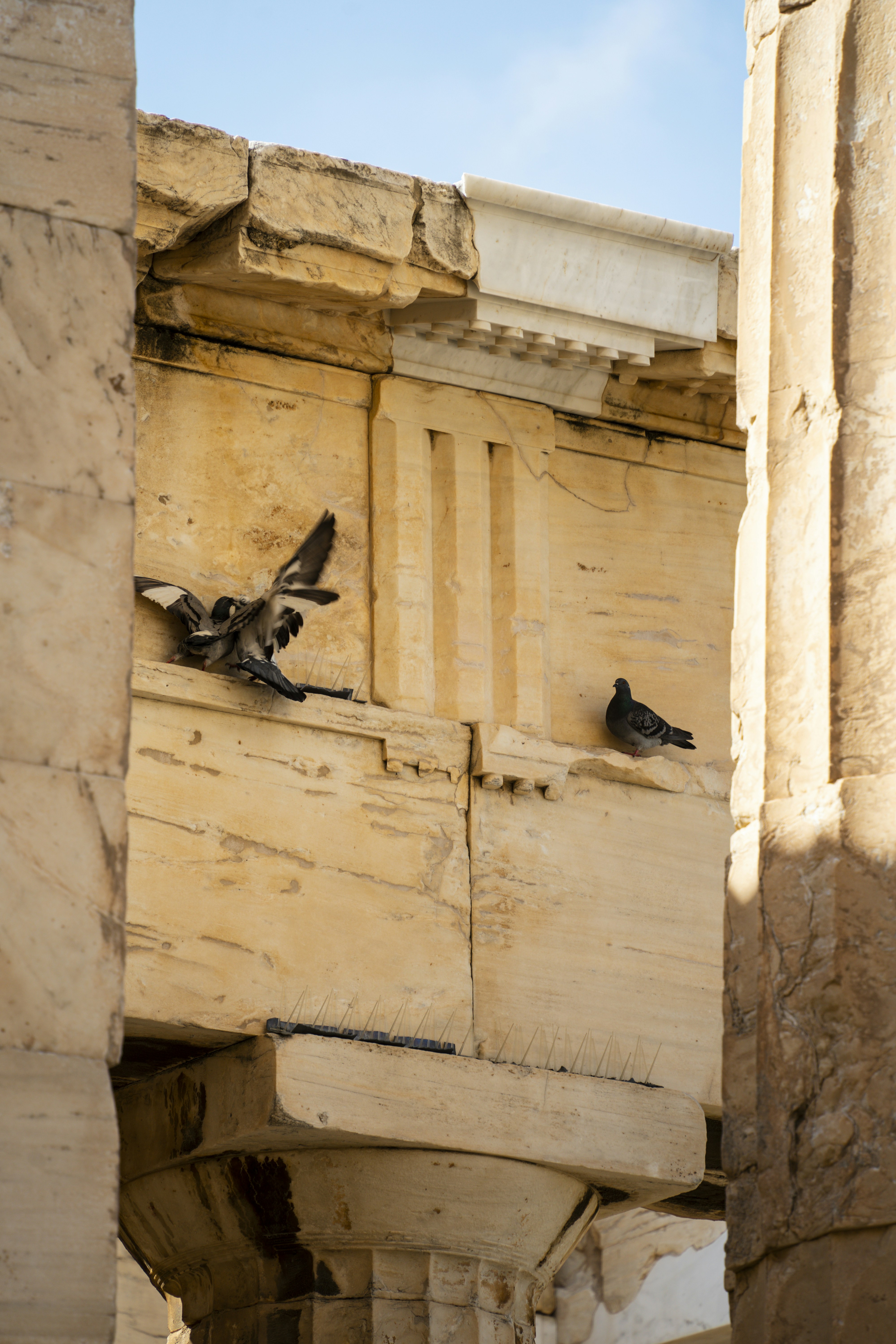 Photo by jeffreyzhang_920