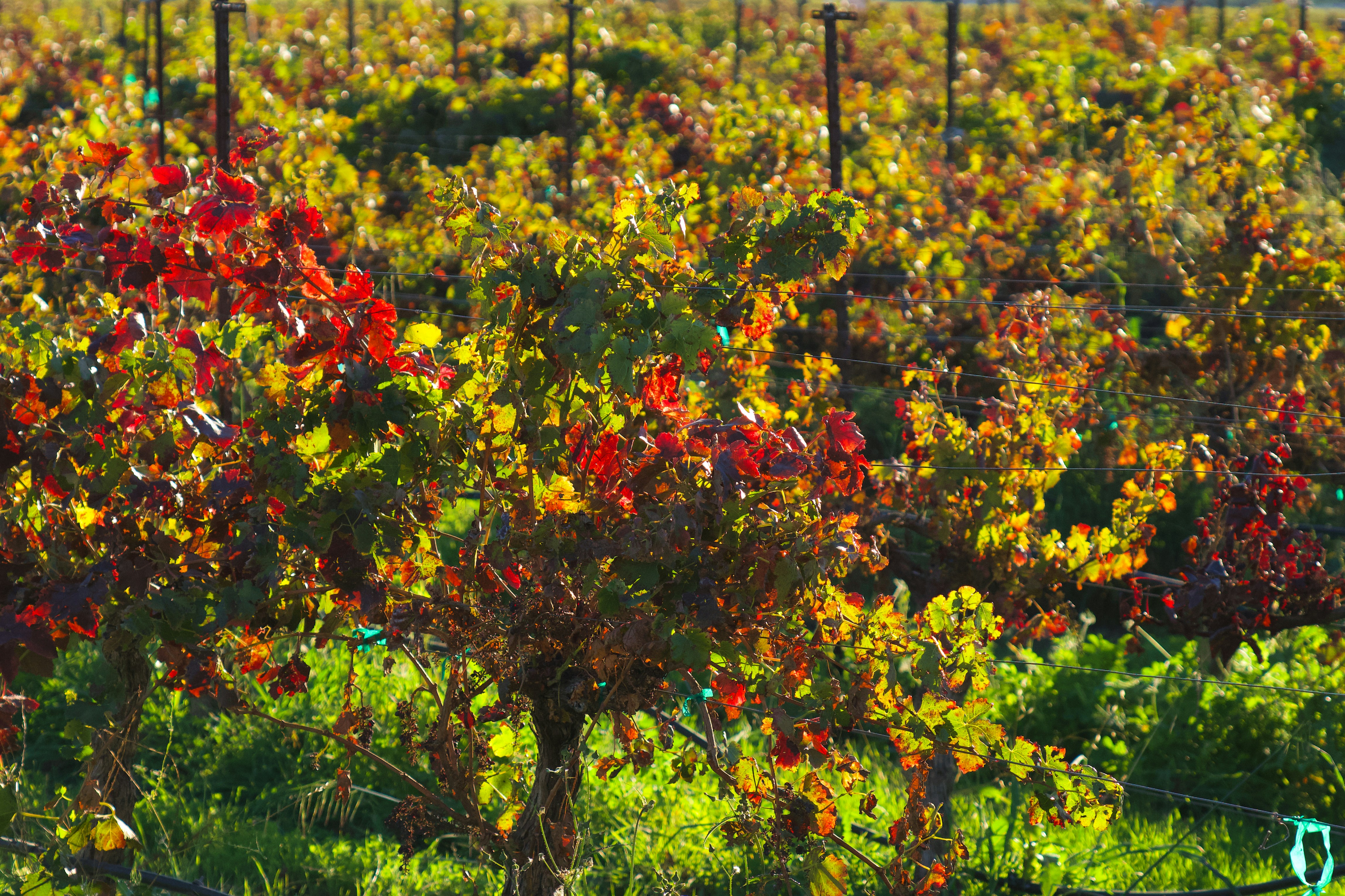 Photo by spencer_demera