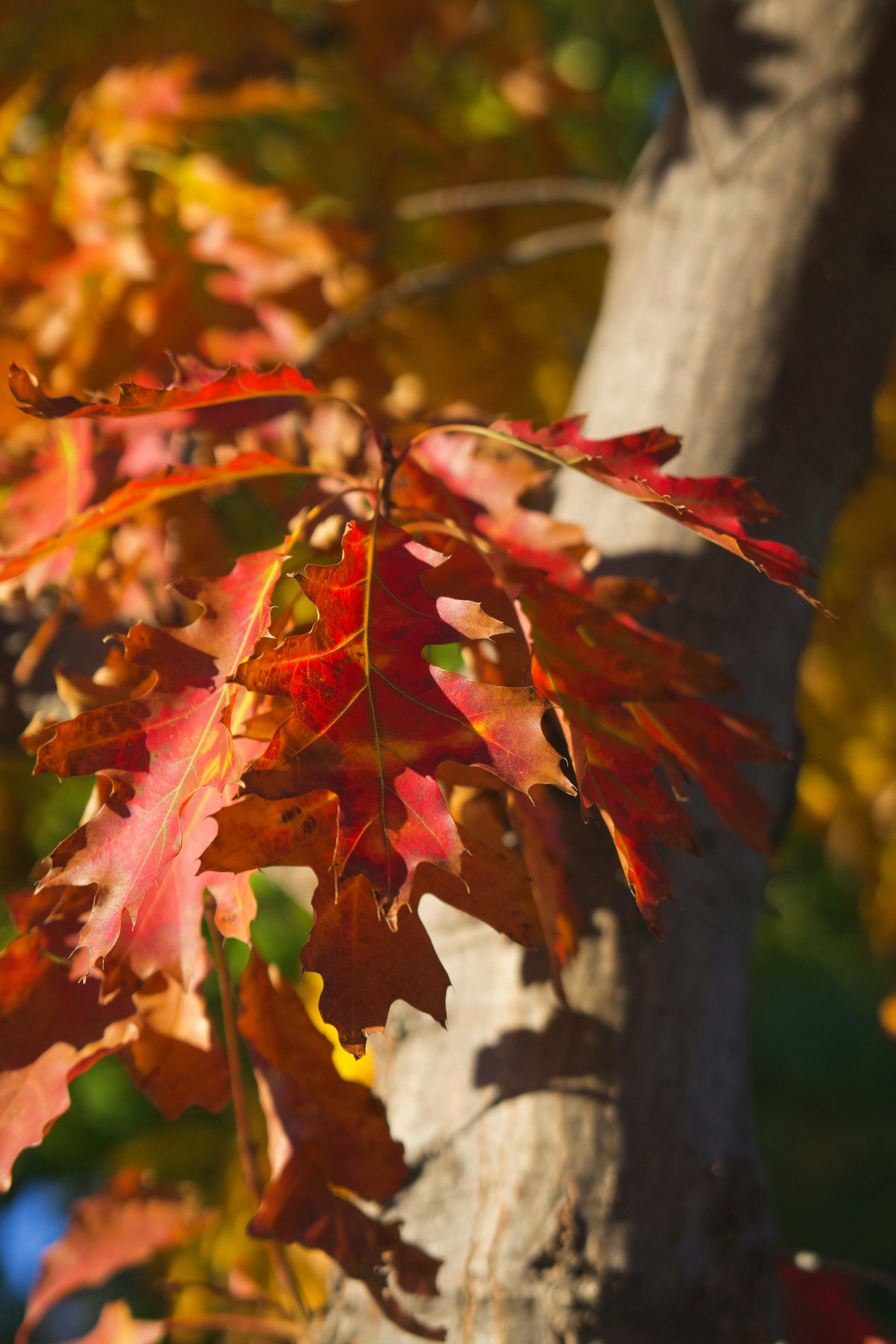 Photo by spencer_demera