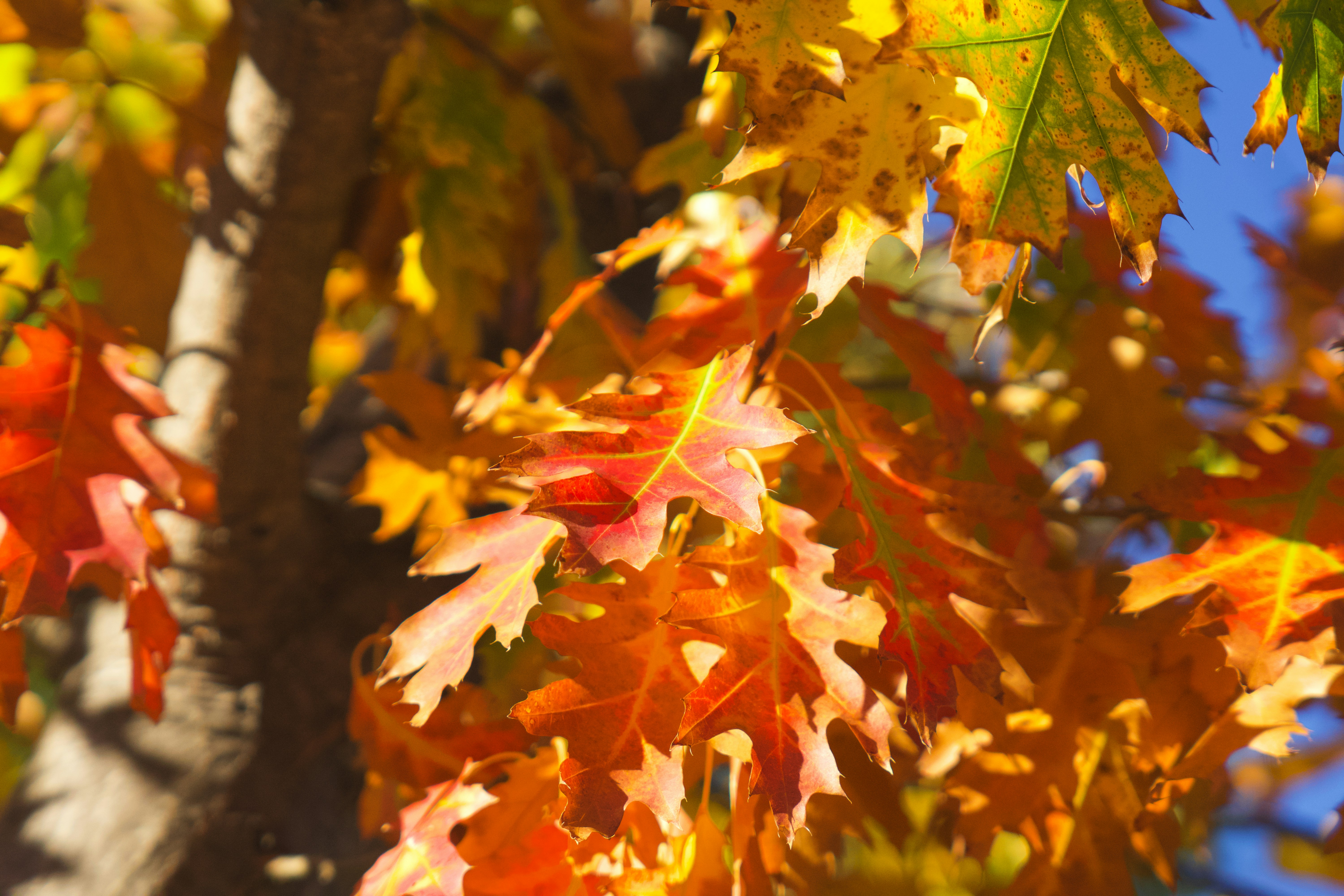 Photo by spencer_demera