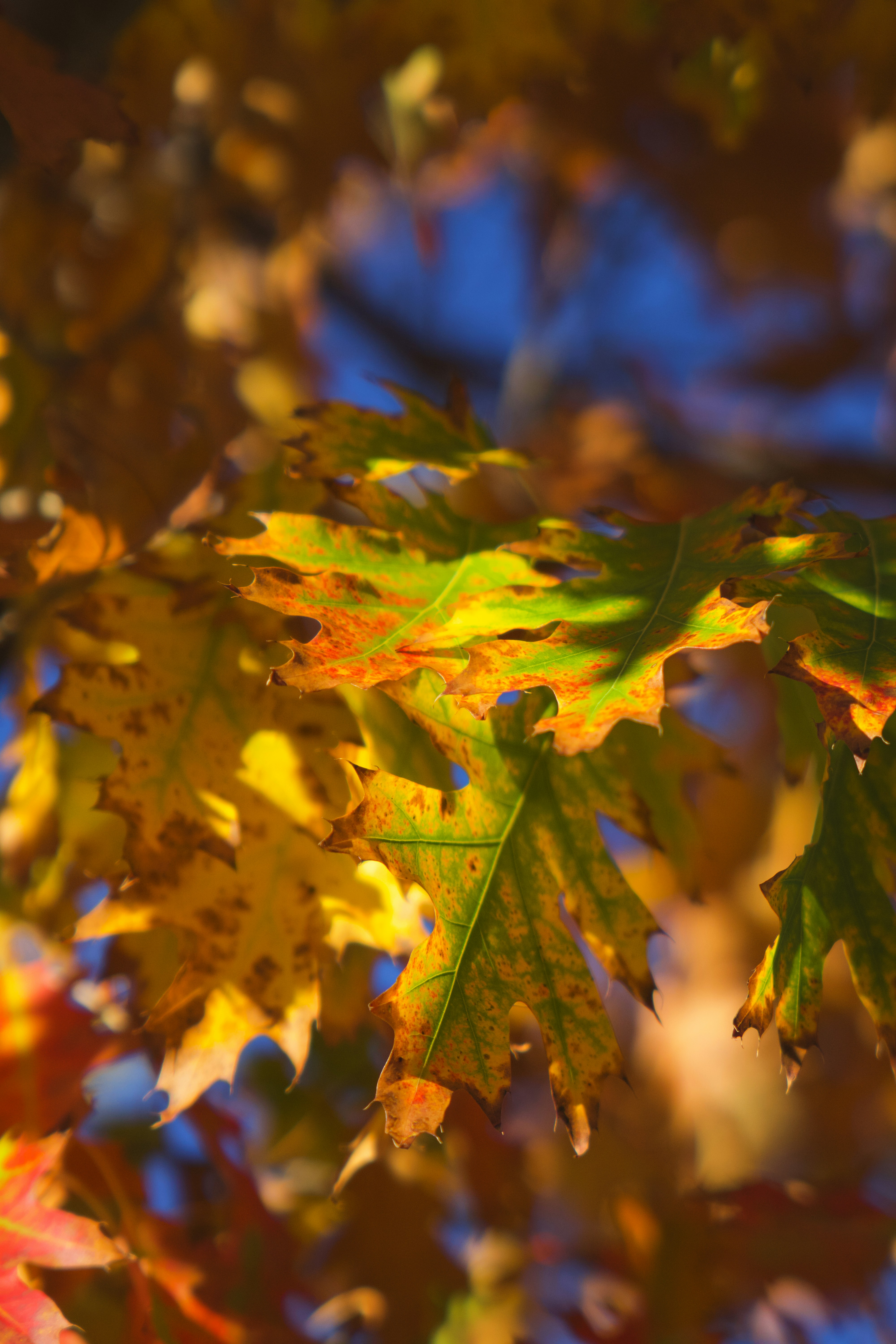 Photo by spencer_demera