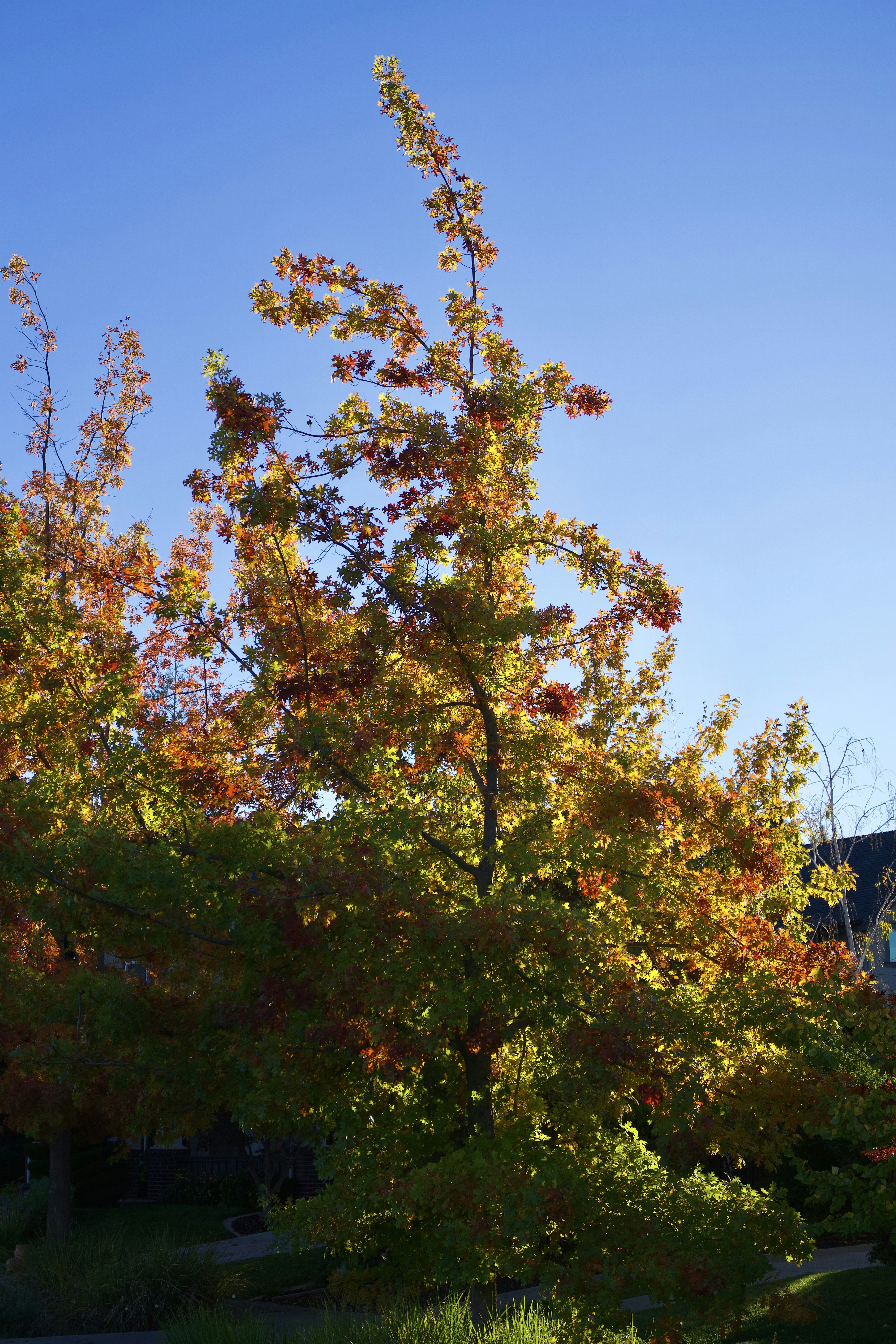 Photo by spencer_demera