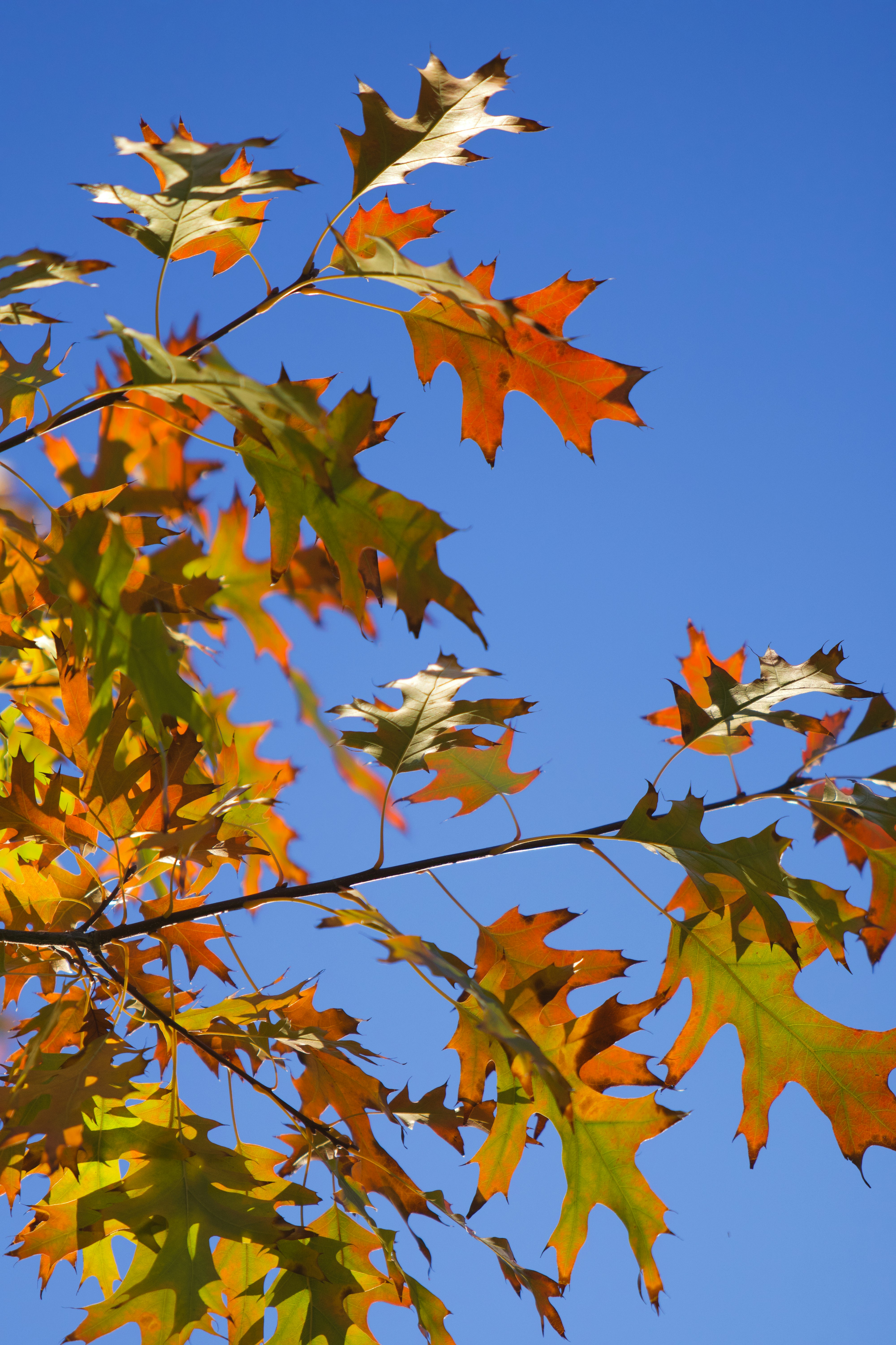 Photo by spencer_demera