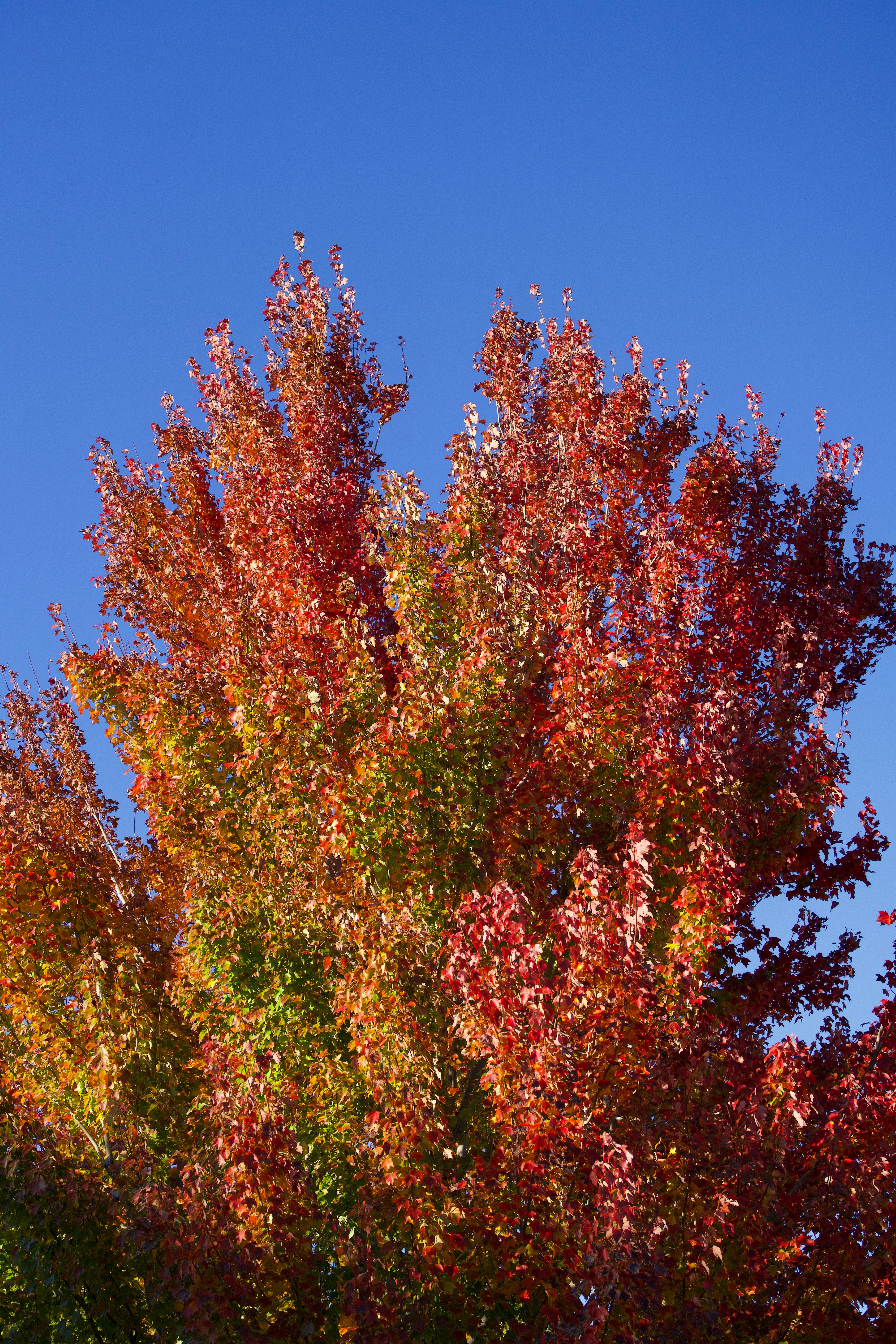 Photo by spencer_demera