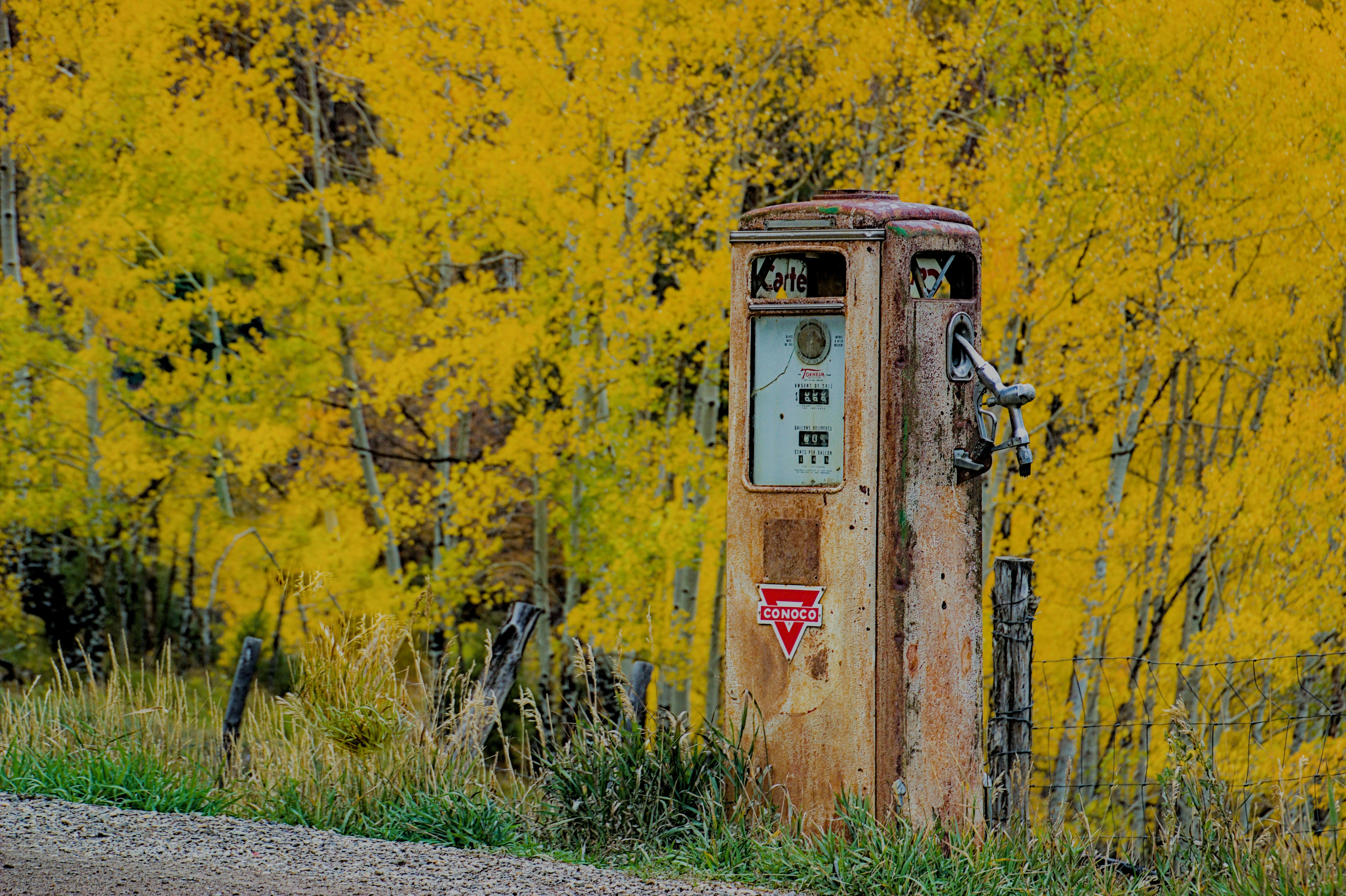 Old gas pump in front of autumn trees