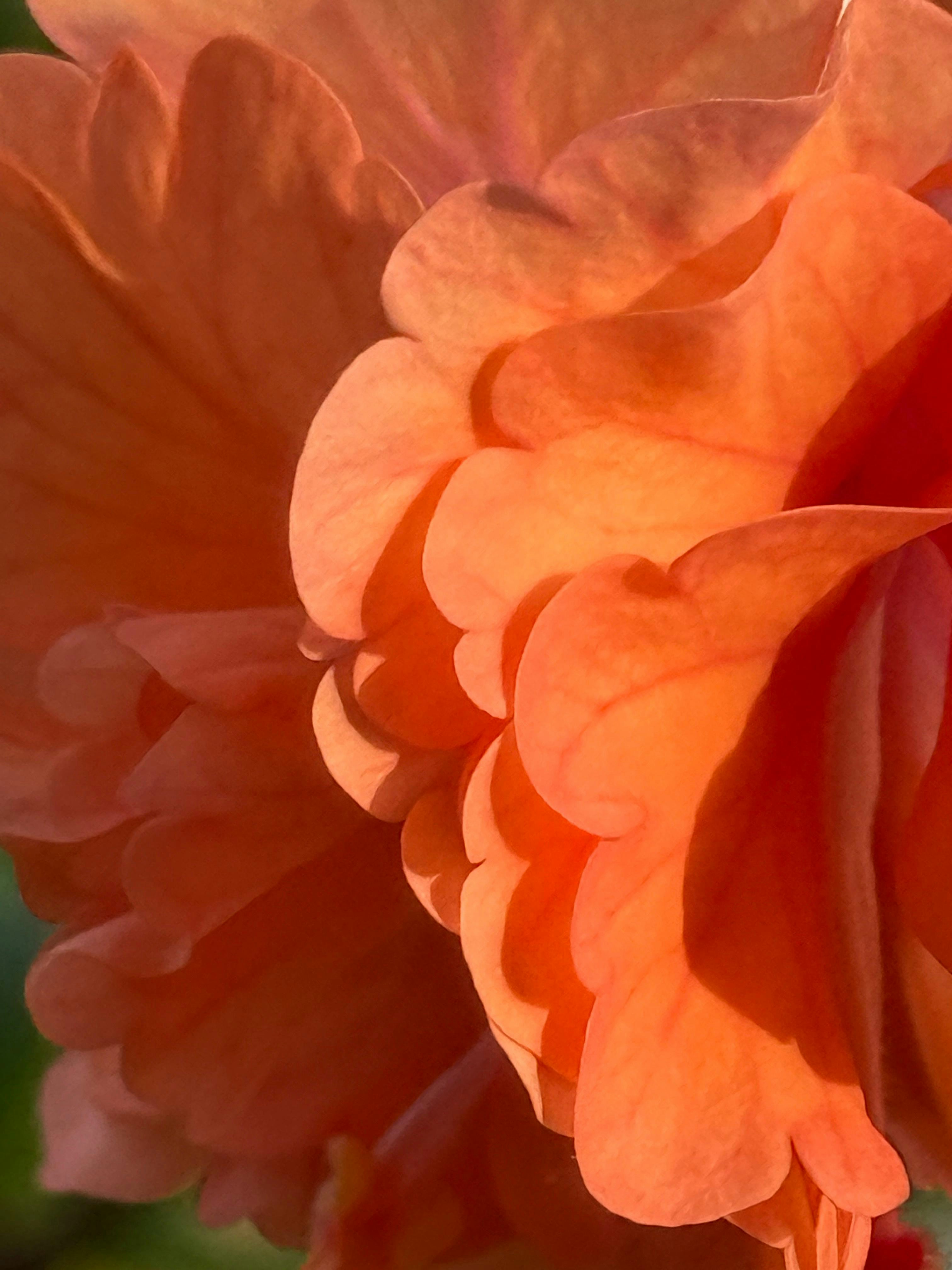 Photo by aditidudalkar