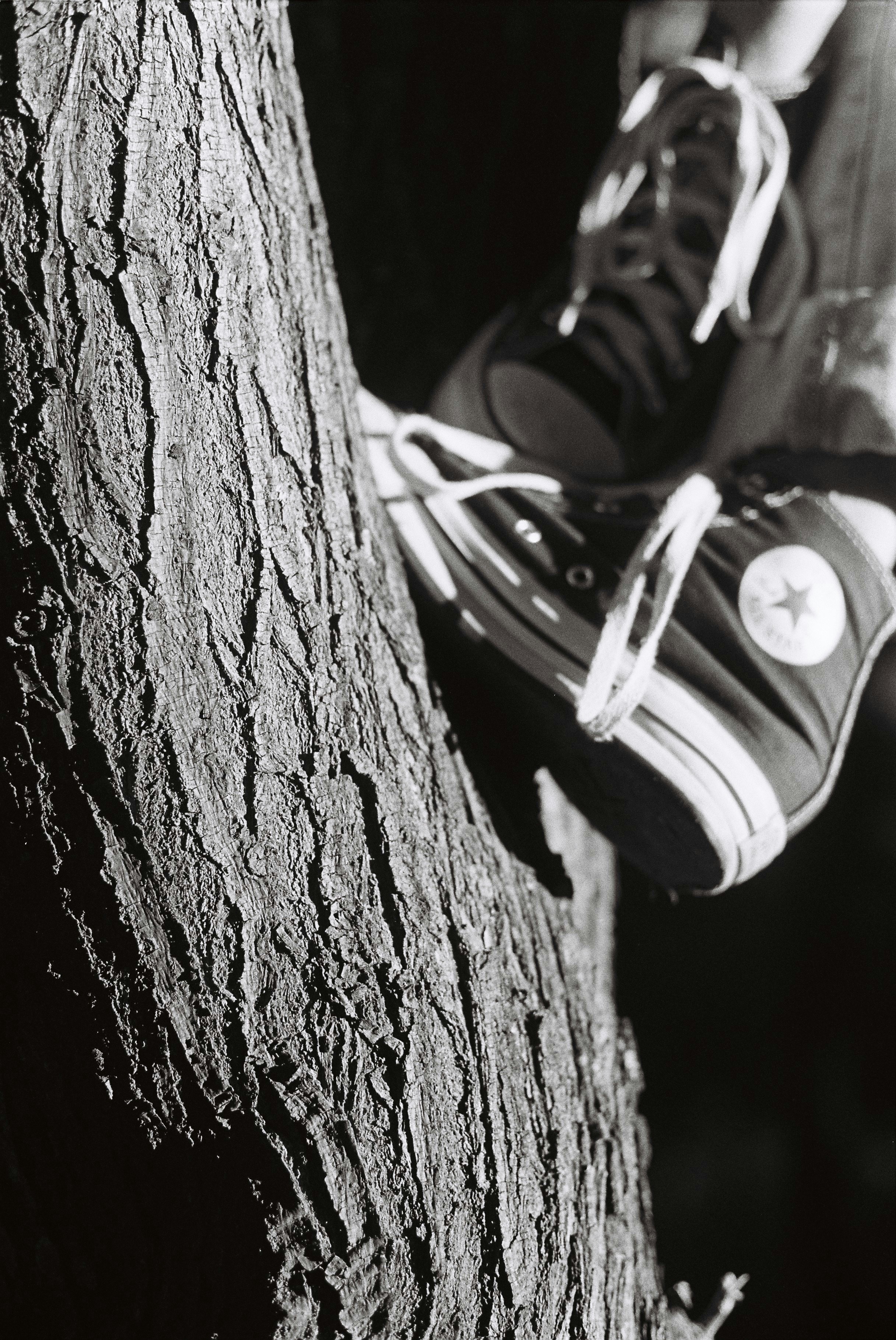 Person's feet in high-top sneakers resting on tree