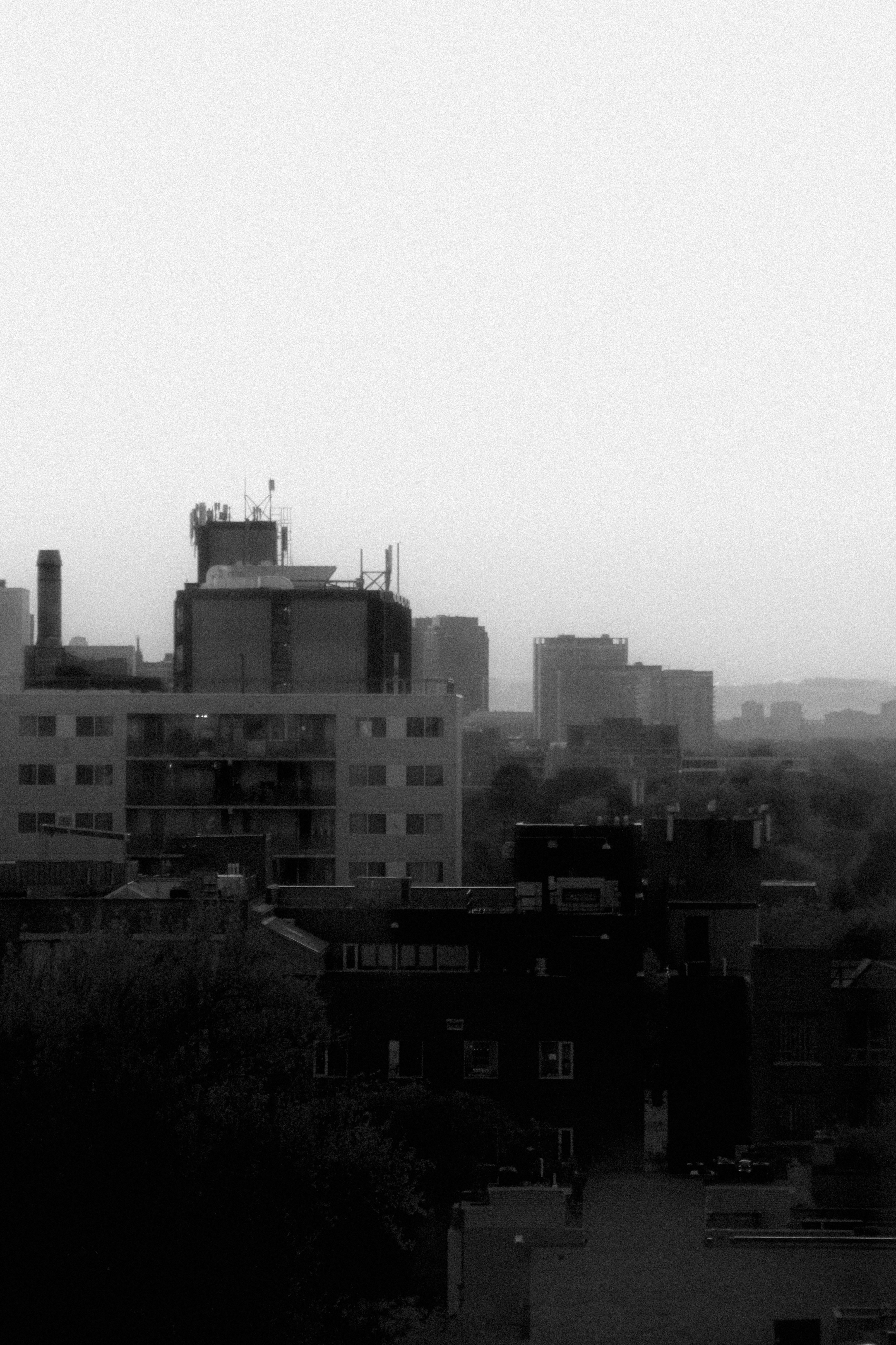 Photo by linusbelanger