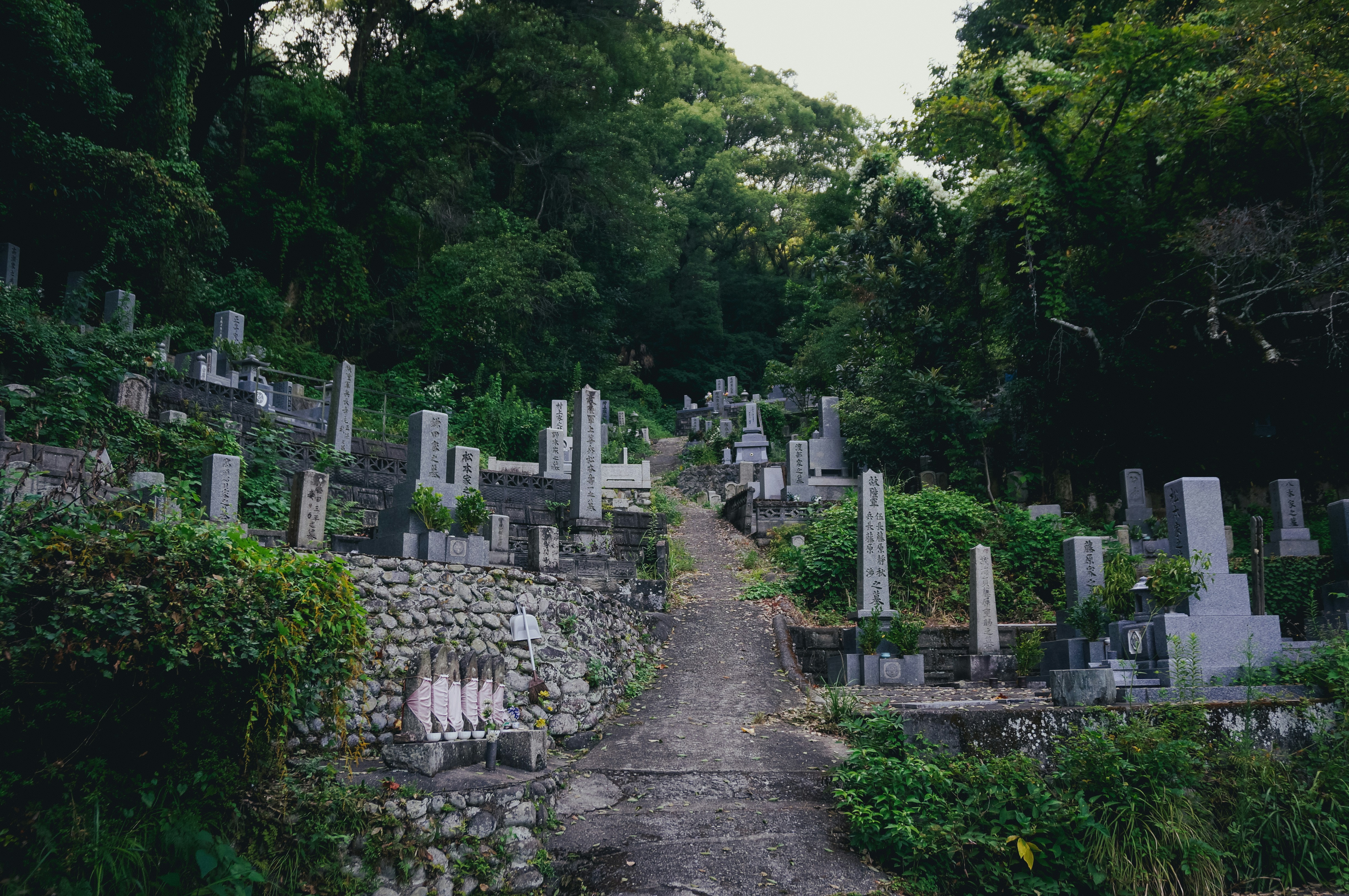 Photo by syahrul_azz