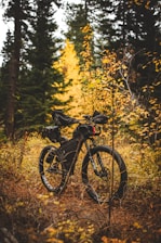 Bicycle parked in a forest during autumn.