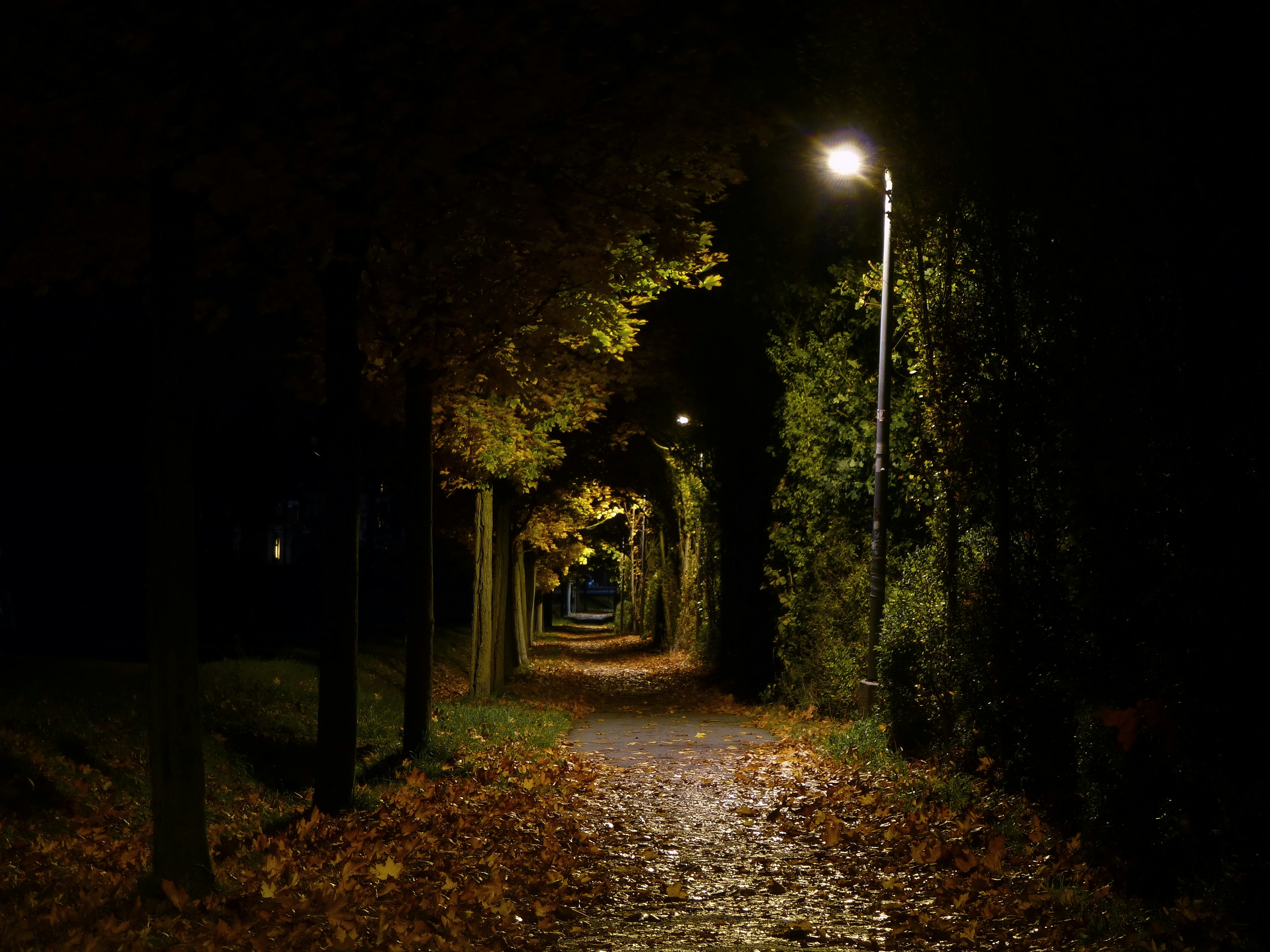 Photo by nikodemus777