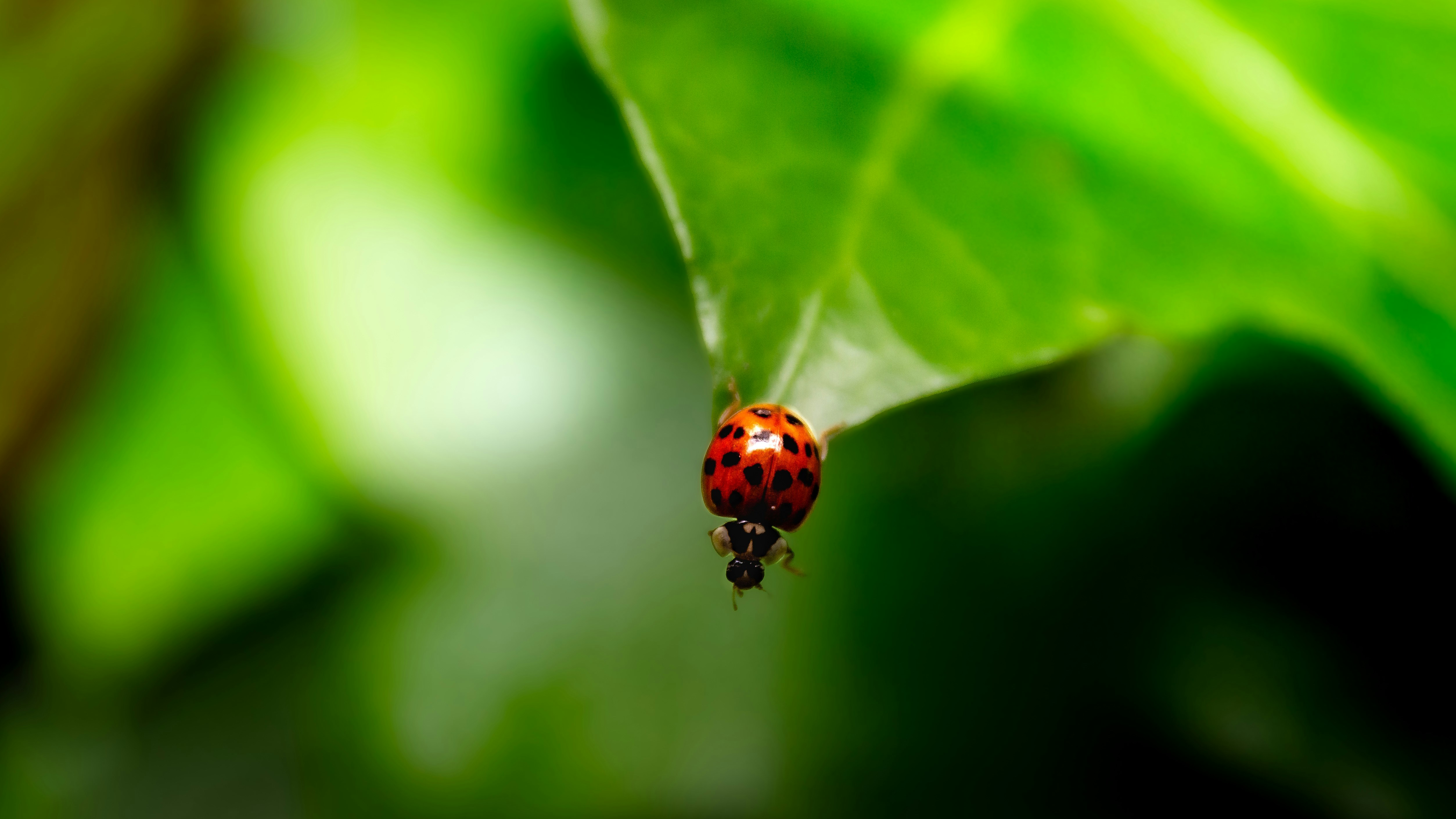 Photo by mlcphotography88