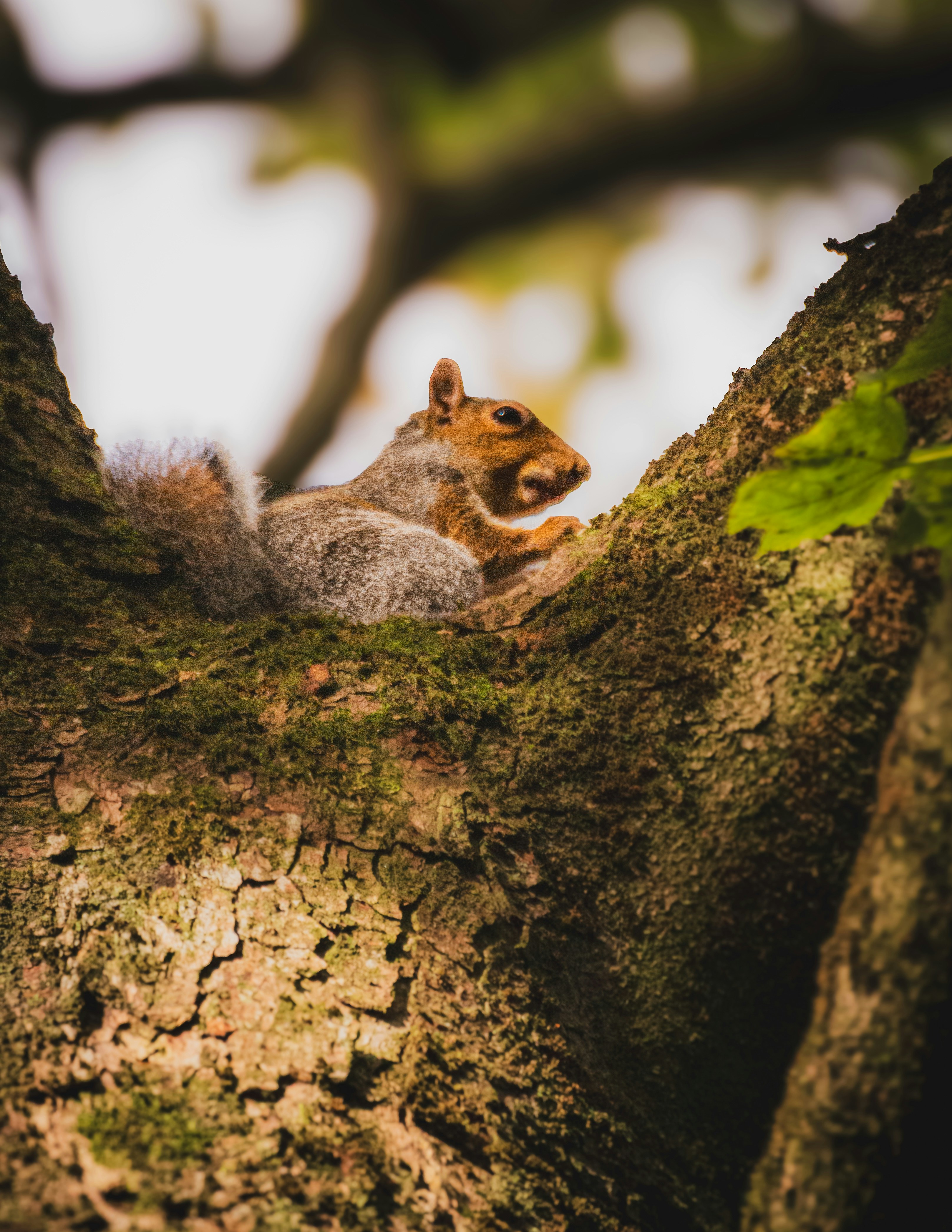 Photo by mlcphotography88