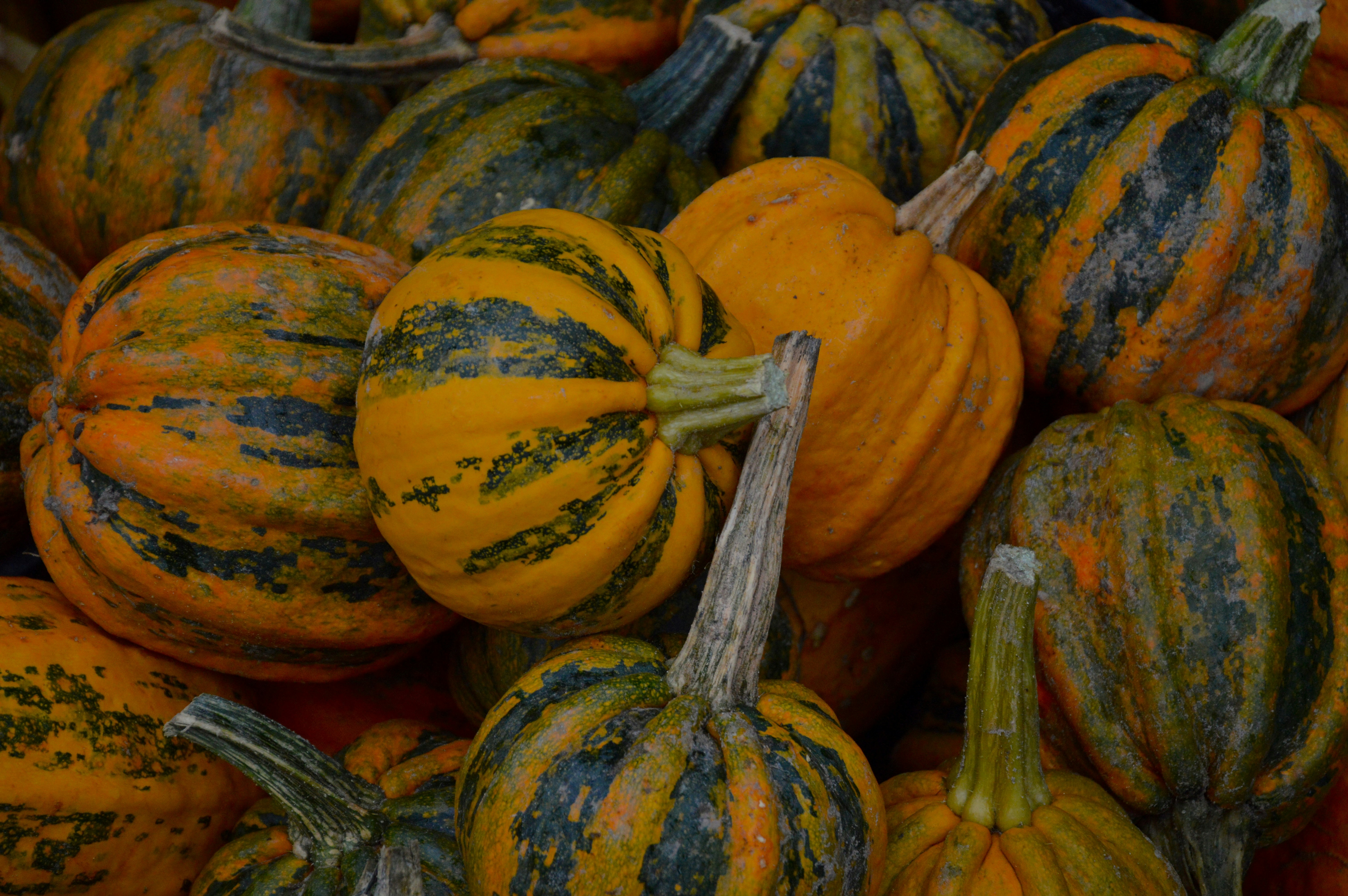 a pile of colorful pumpkins with green and orange