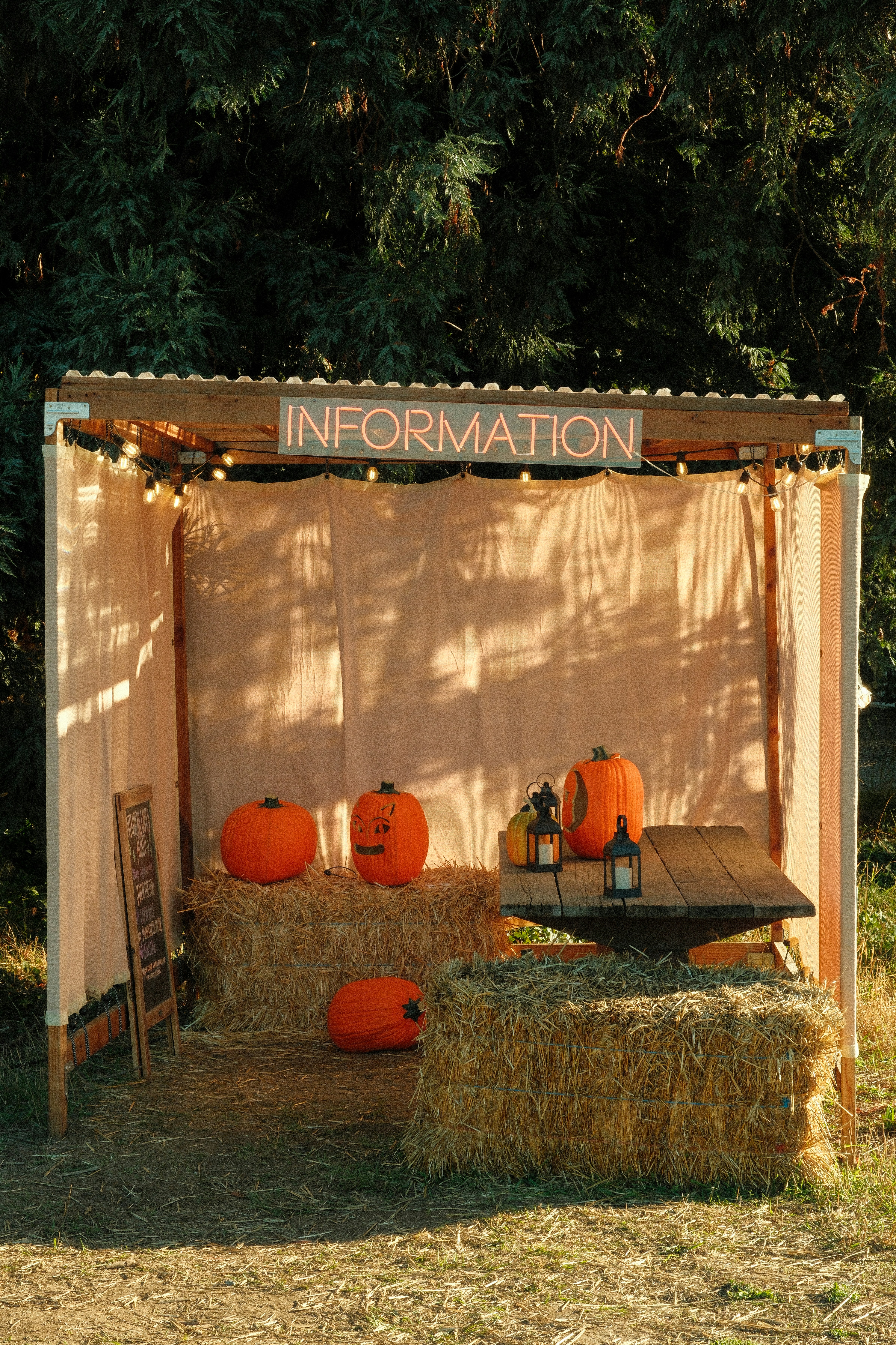 Information booth with pumpkins and hay bales