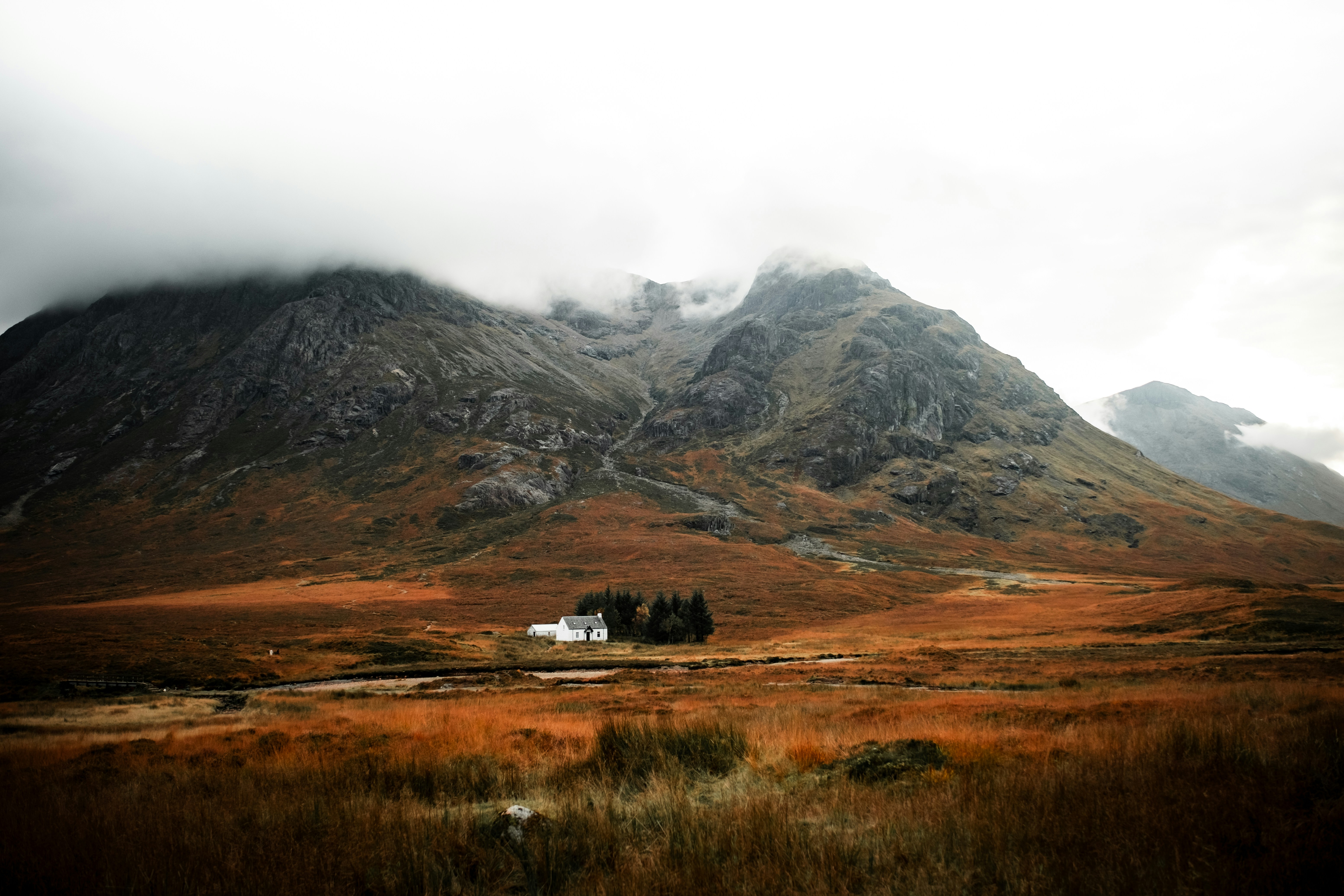 Functional Rheumatology And Exercise: Safe Movements For Easing Pain