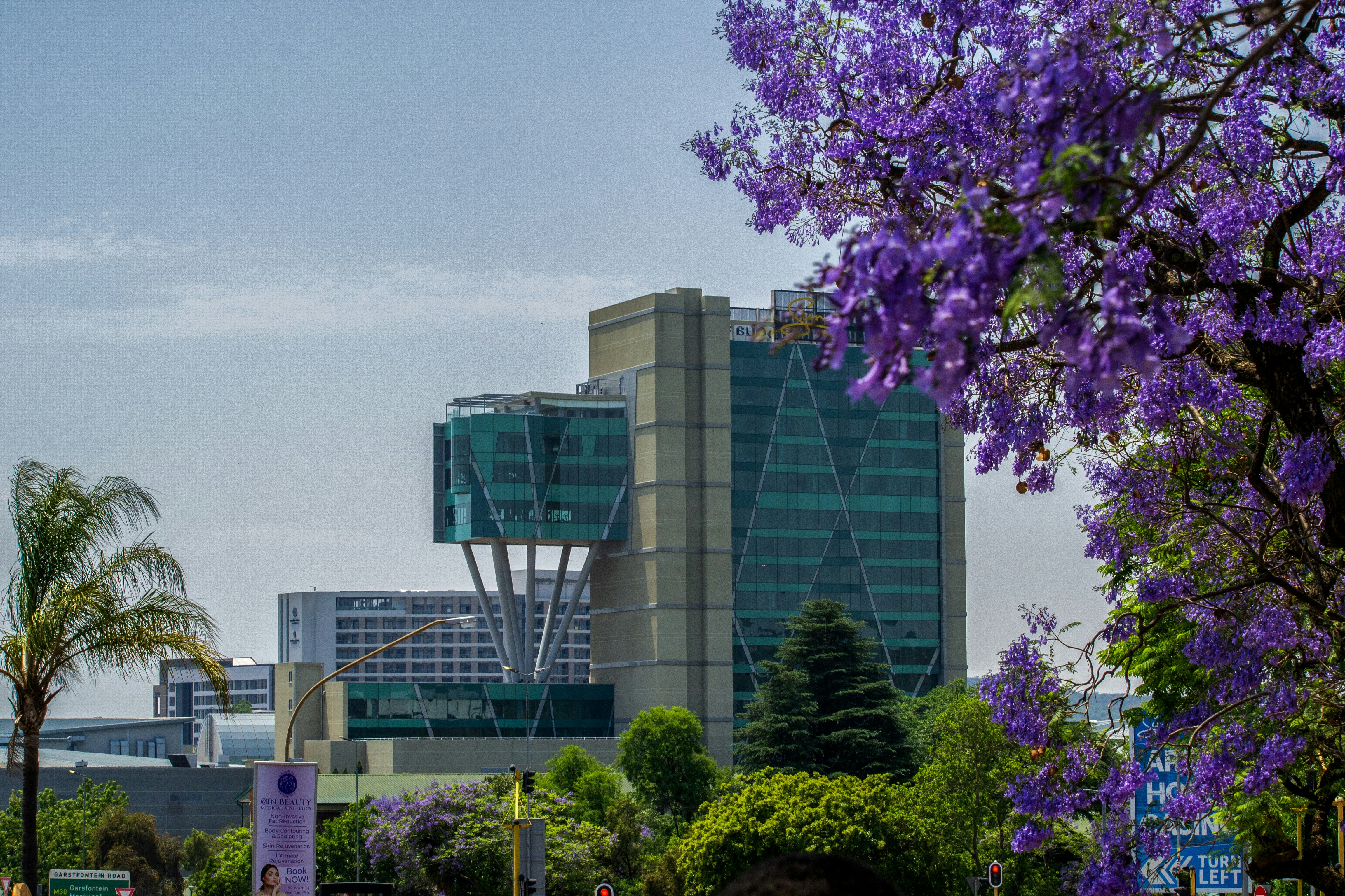 Modern buildings surrounded by lush green trees and purple flowers.
