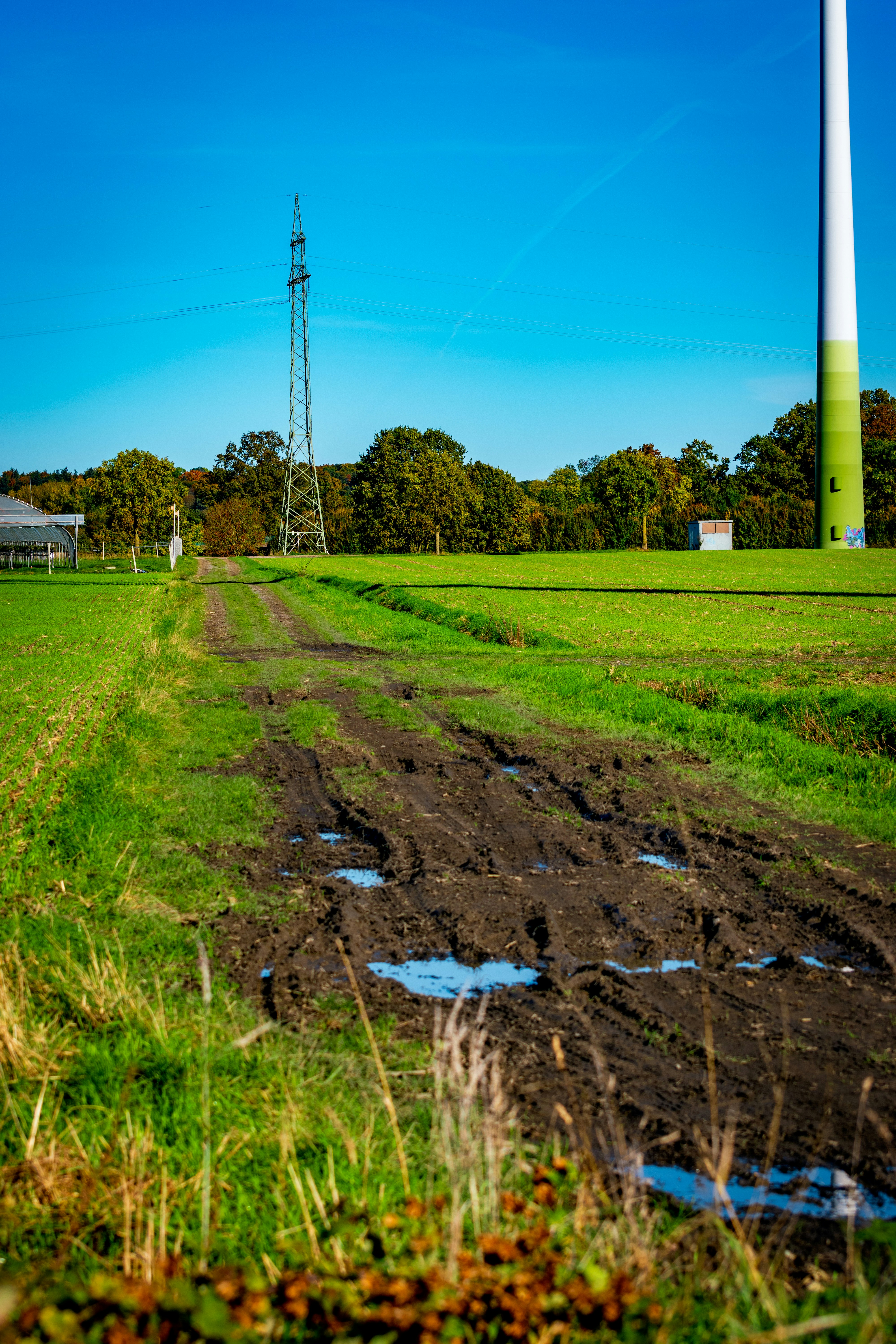 Why food companies should invest in soil-carbon monitoring