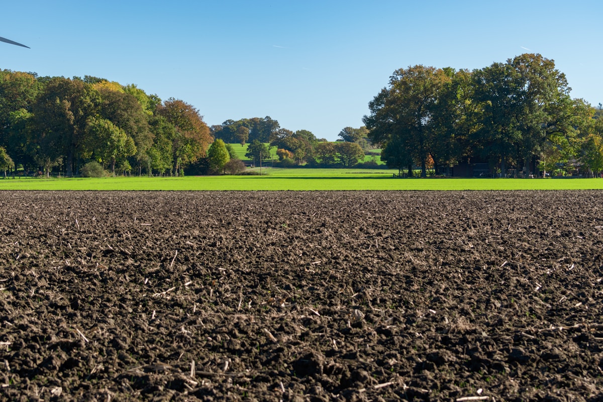 Groundworks & Civil Engineering