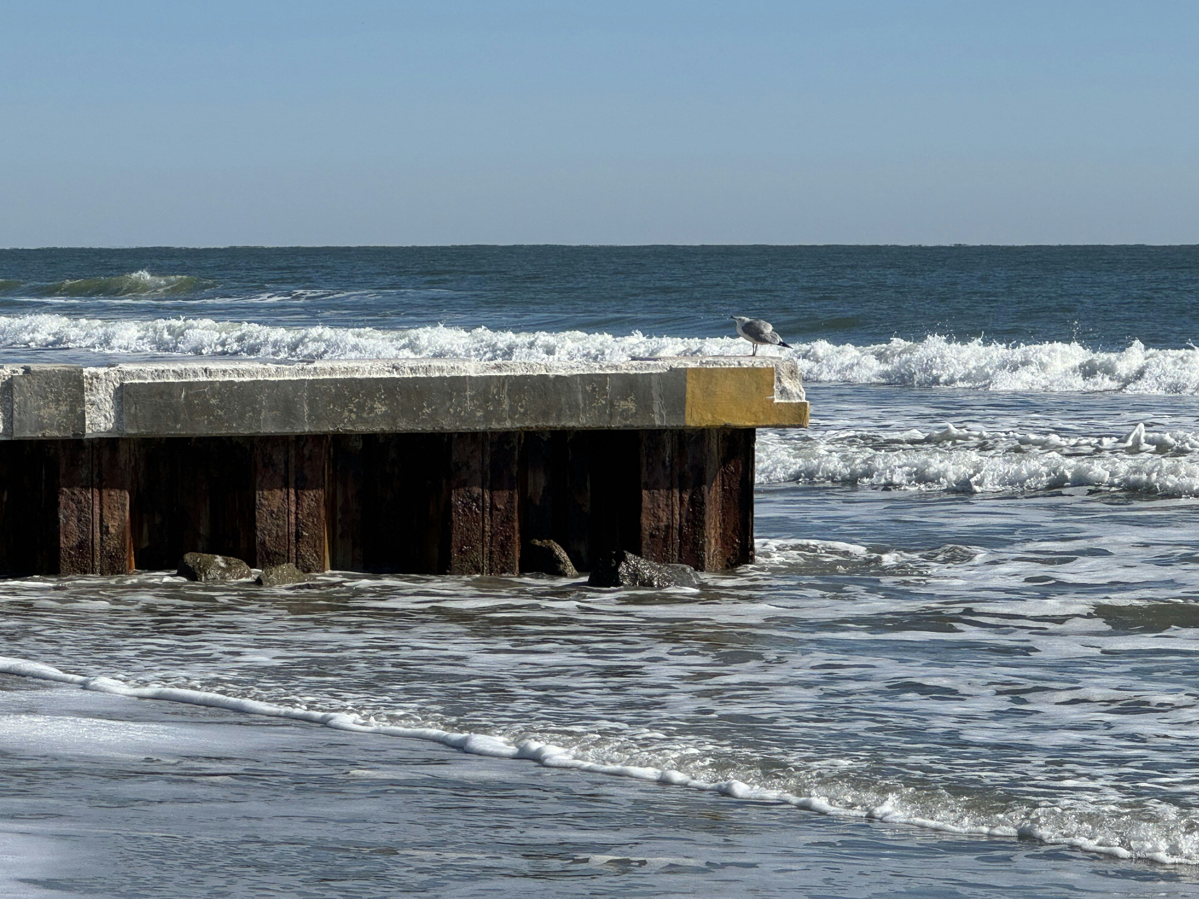 Photo by kayla_downing