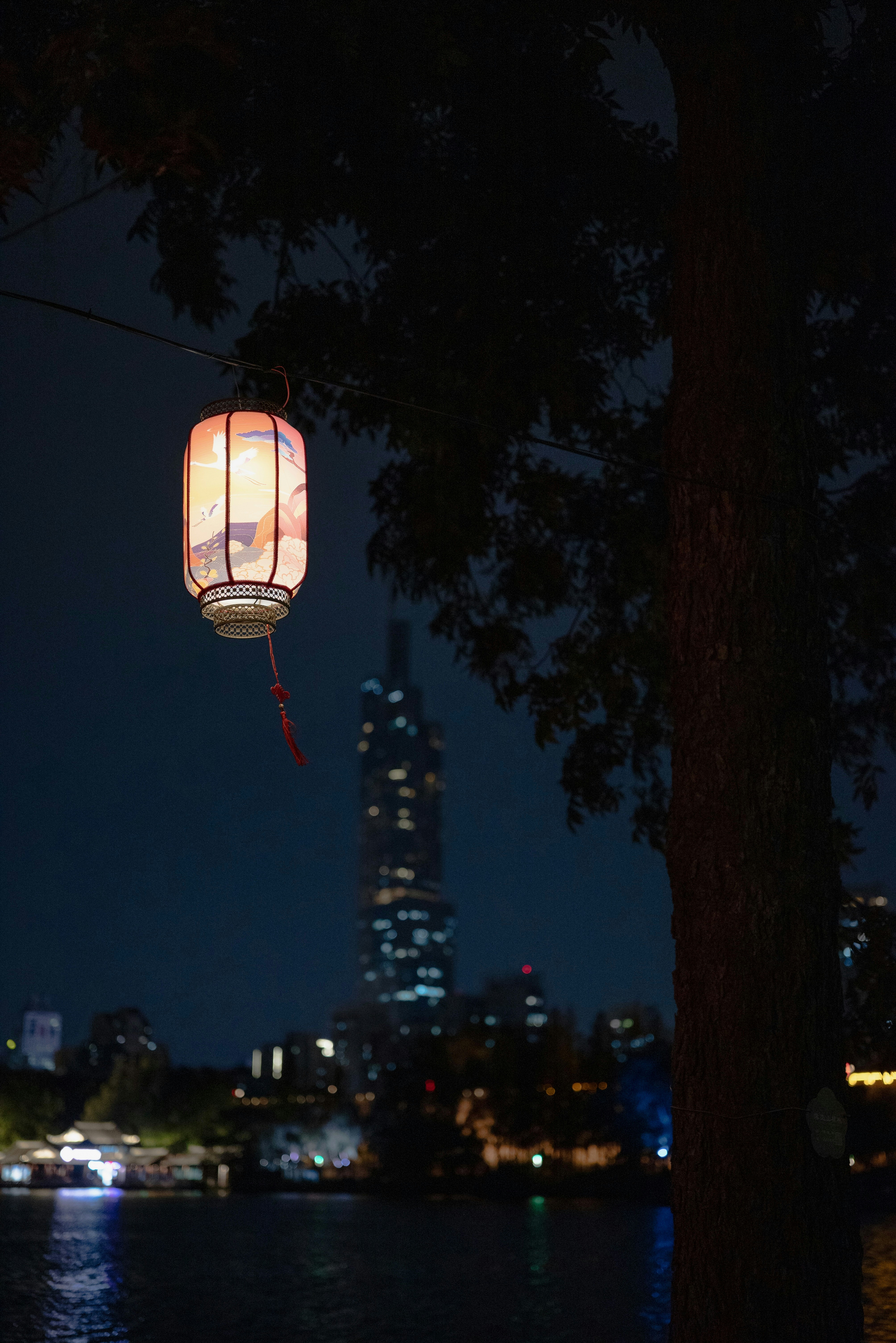 Una linterna cuelga de un árbol por la noche.