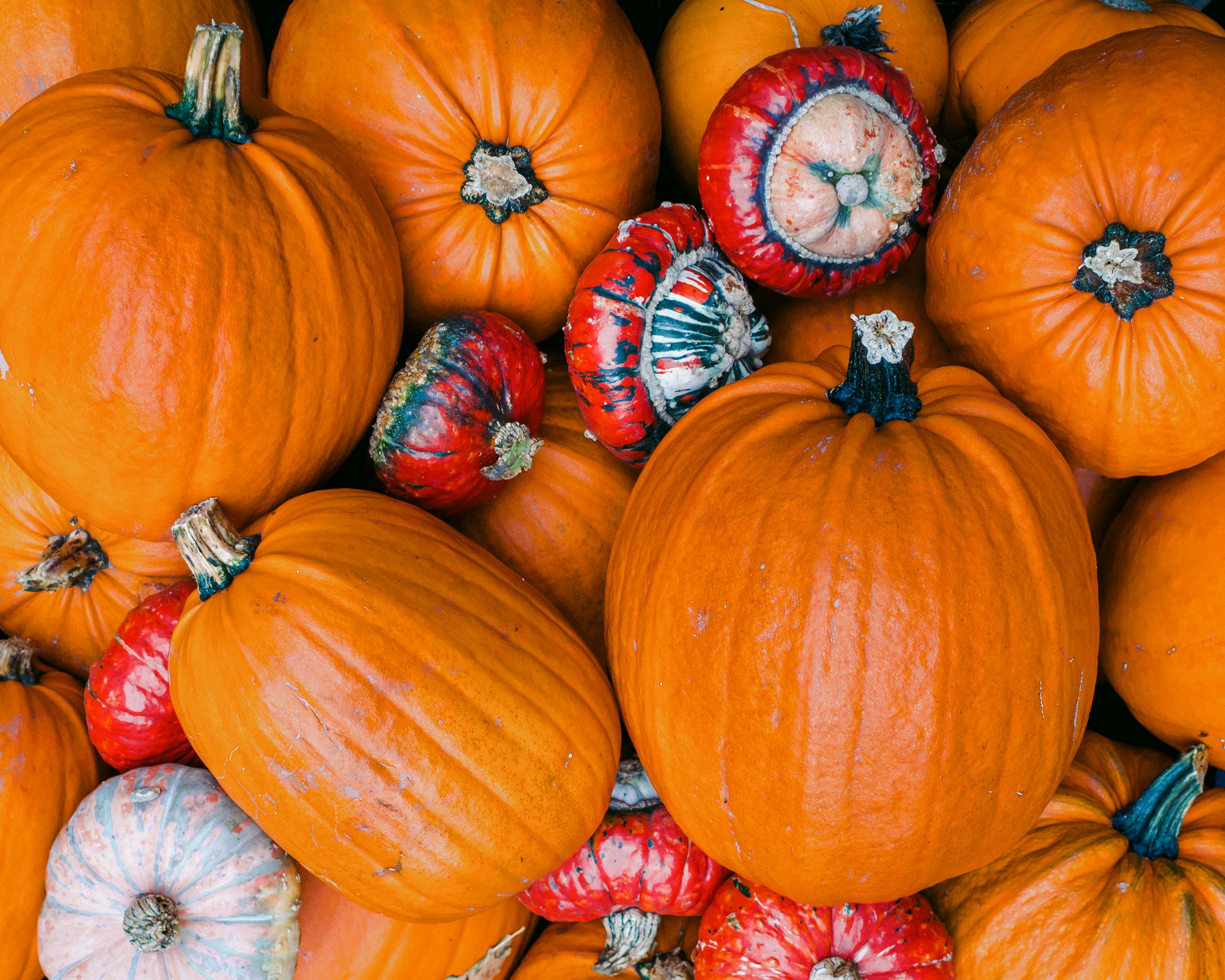 Photo by marctograph