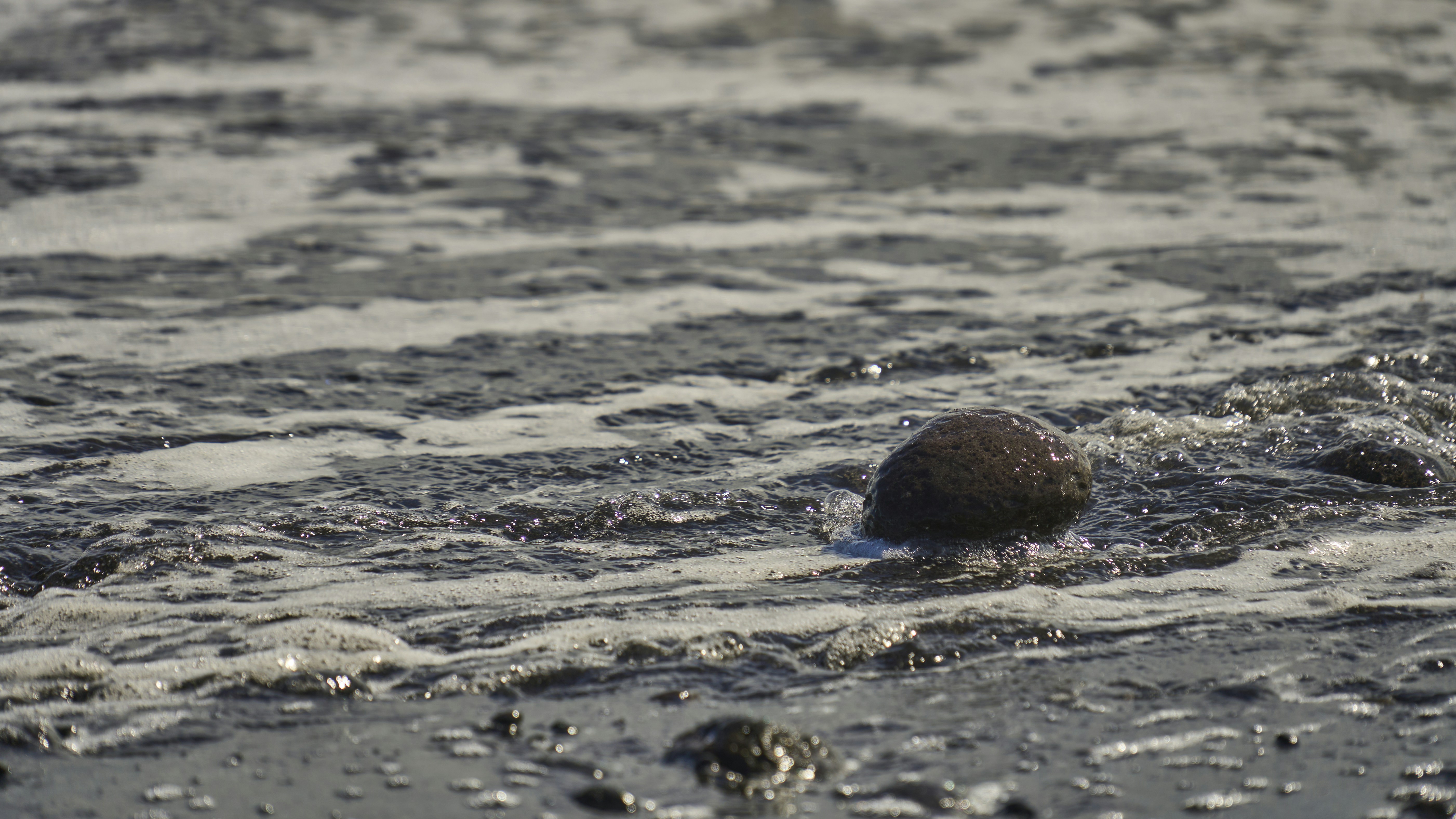 Photo by wolfgang_hasselmann