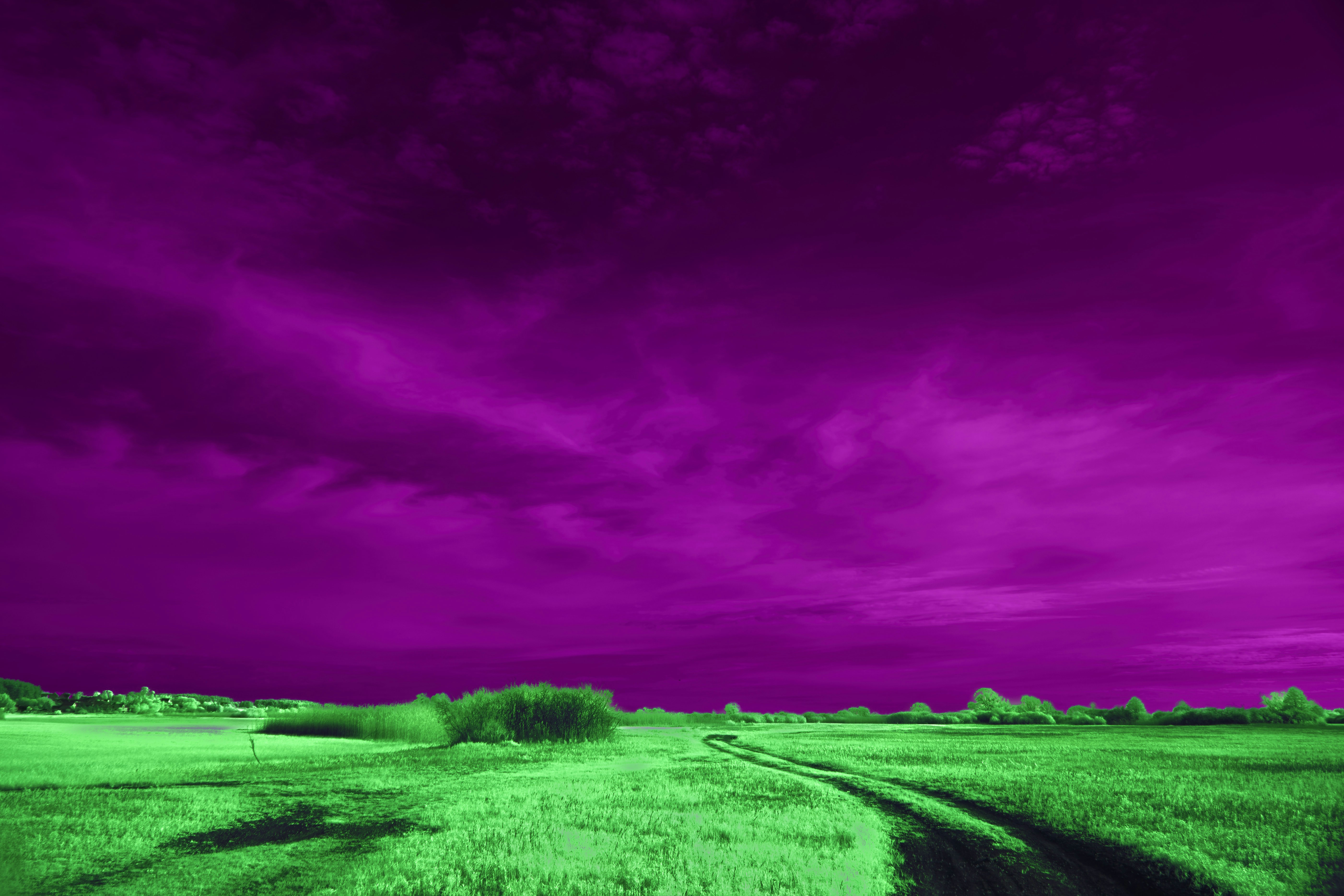 Photo by wolfgang_hasselmann