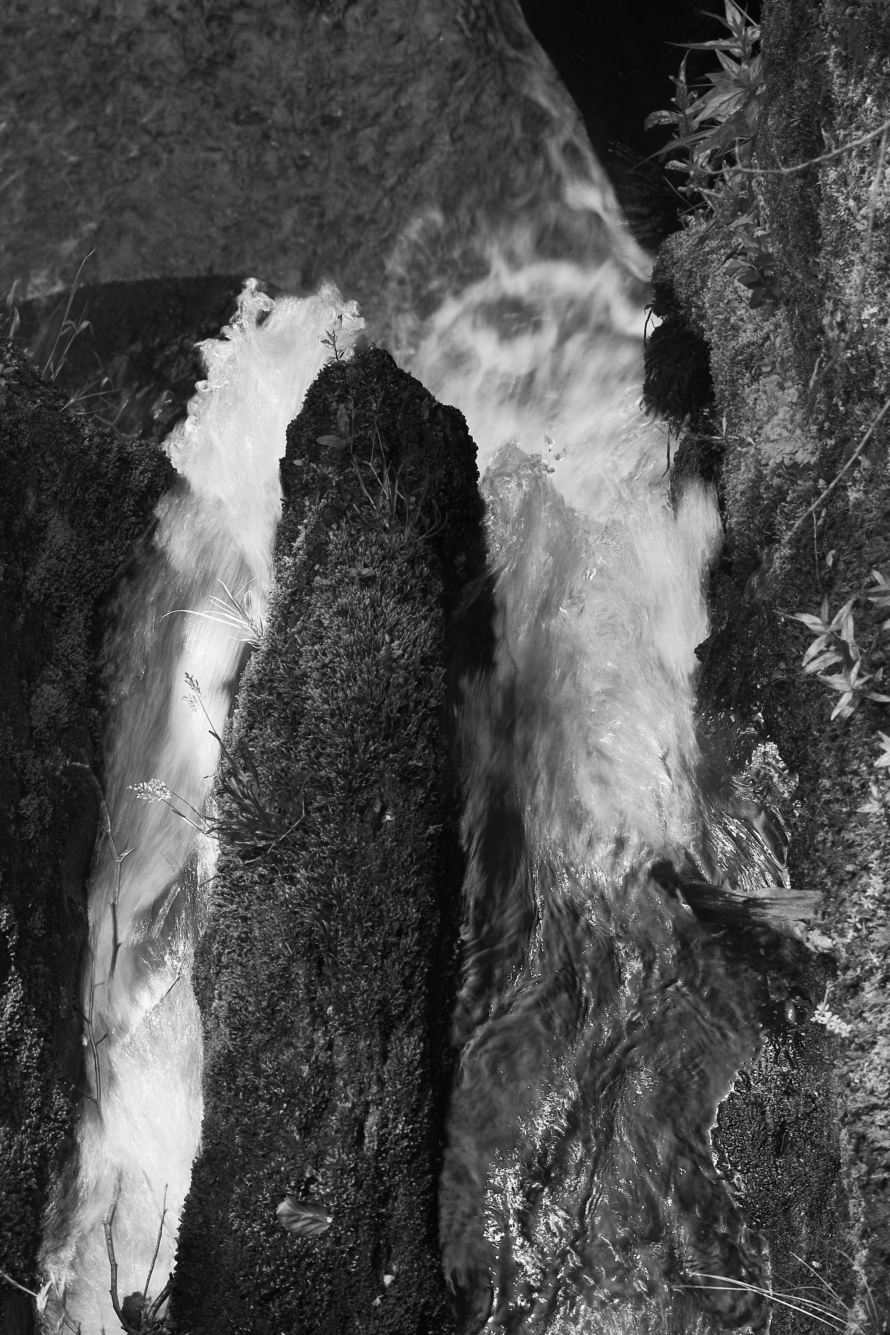 Photo by wolfgang_hasselmann