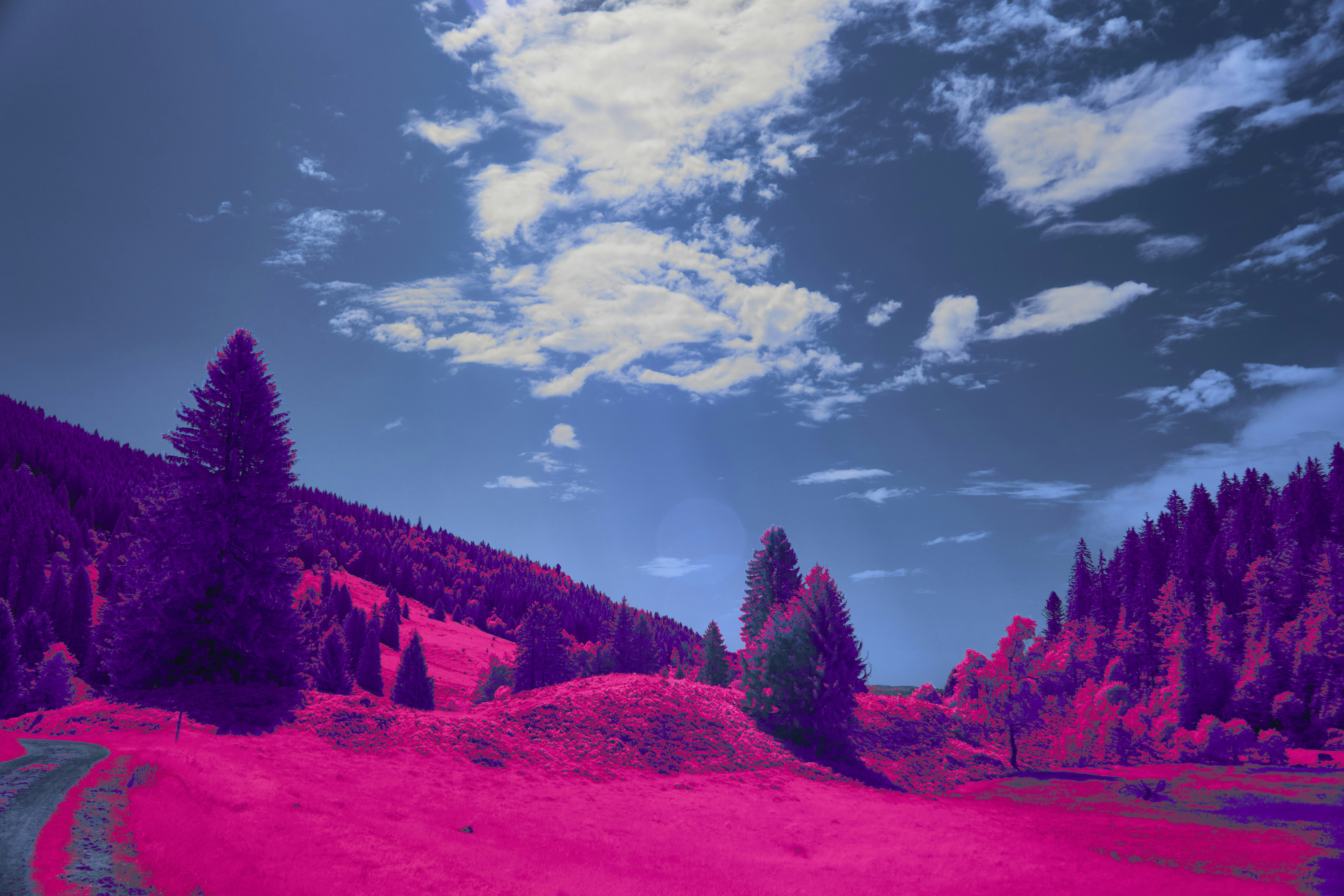 Vibrant pink landscape with trees and blue sky
