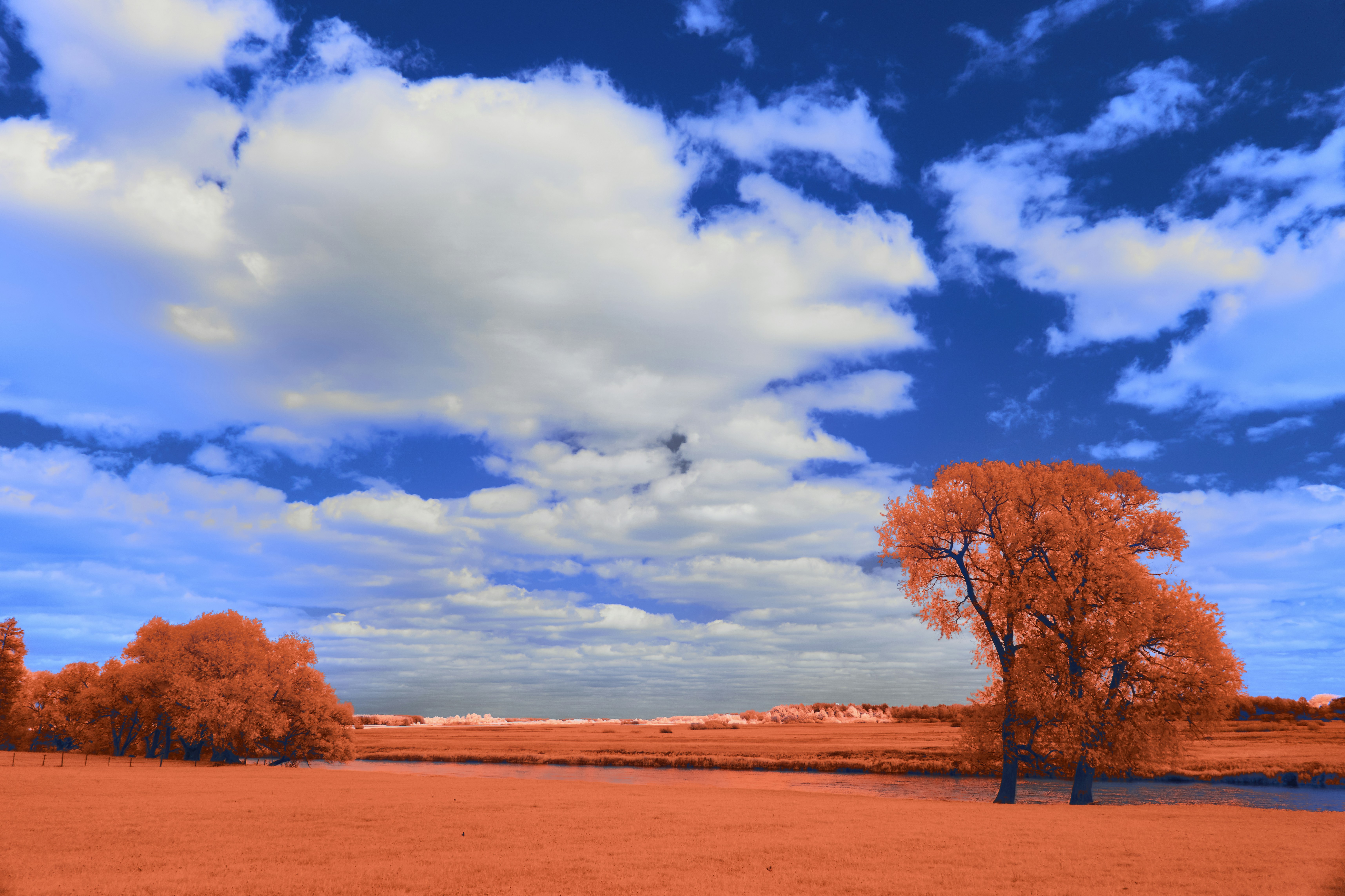 Photo by wolfgang_hasselmann