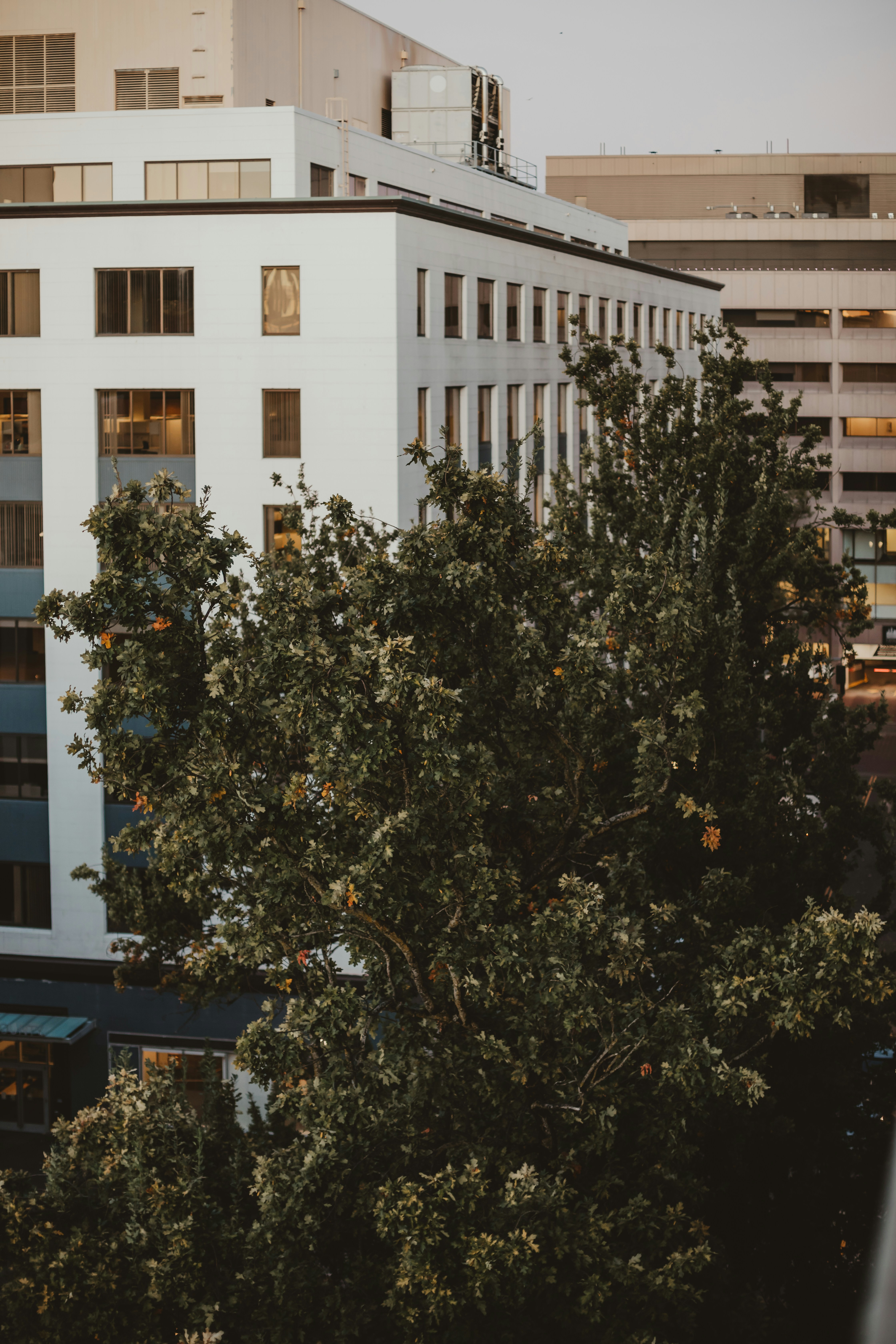 Photo by sixteenmilesout