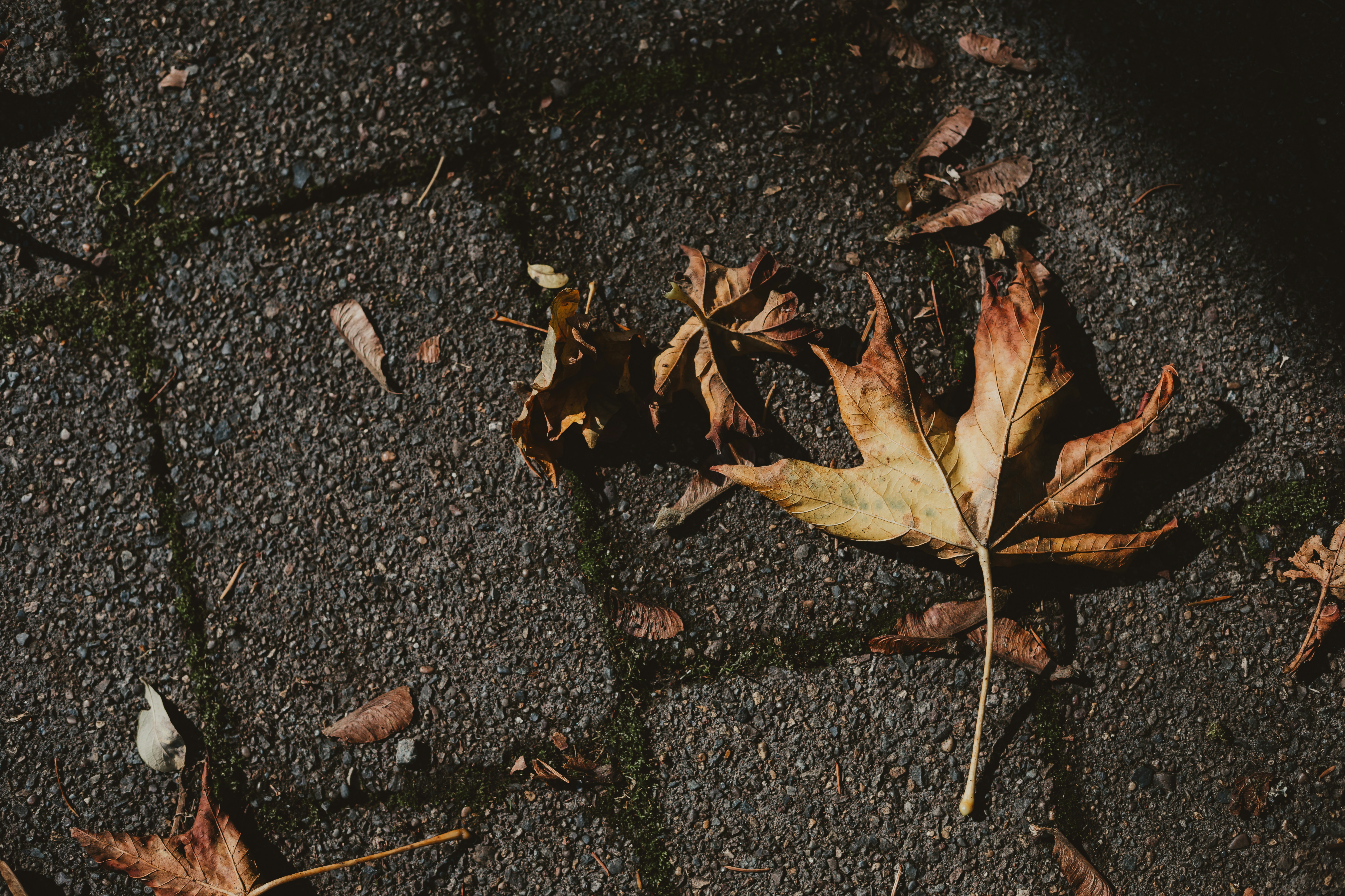 Photo by sixteenmilesout