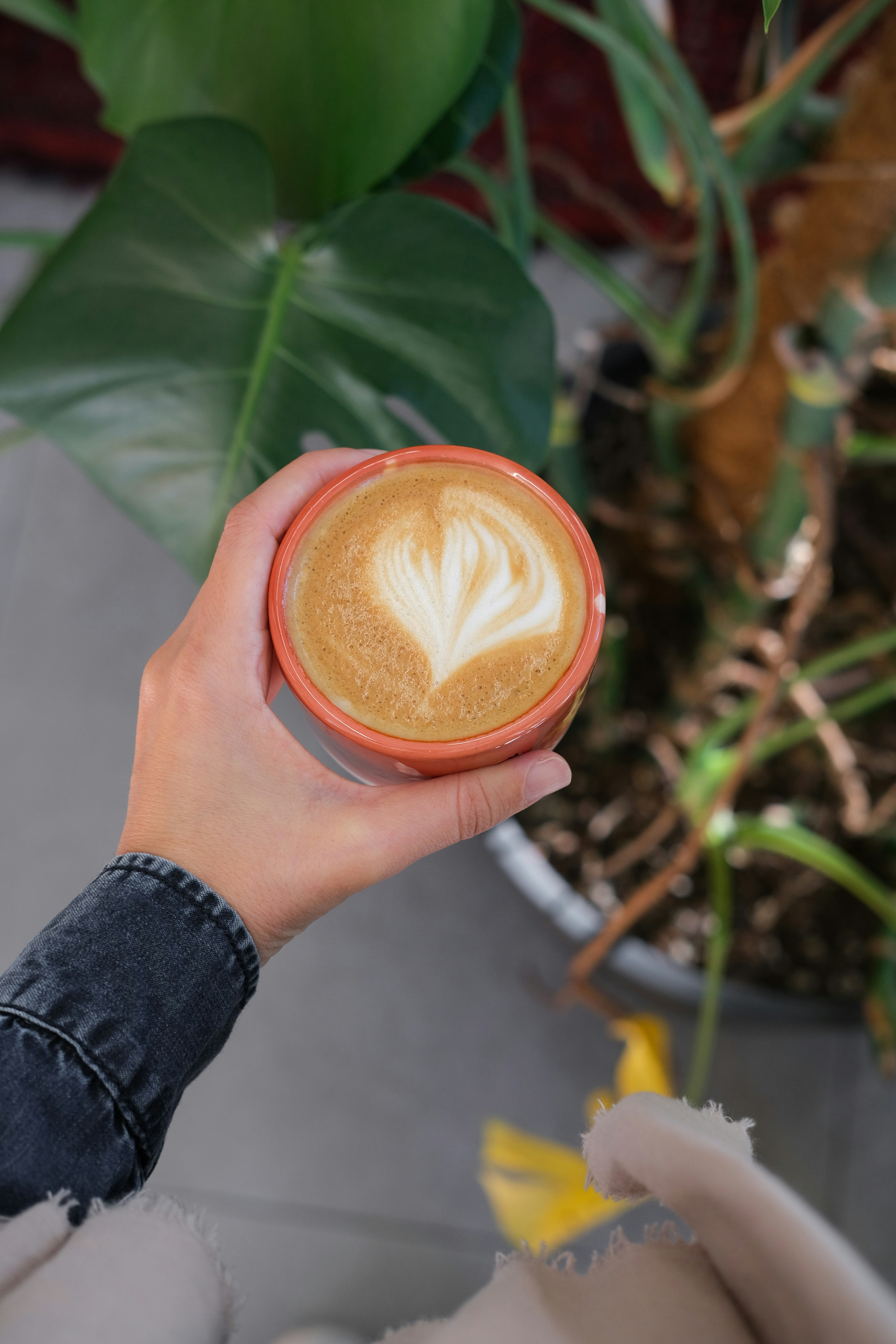 Hand holding a latte with heart art