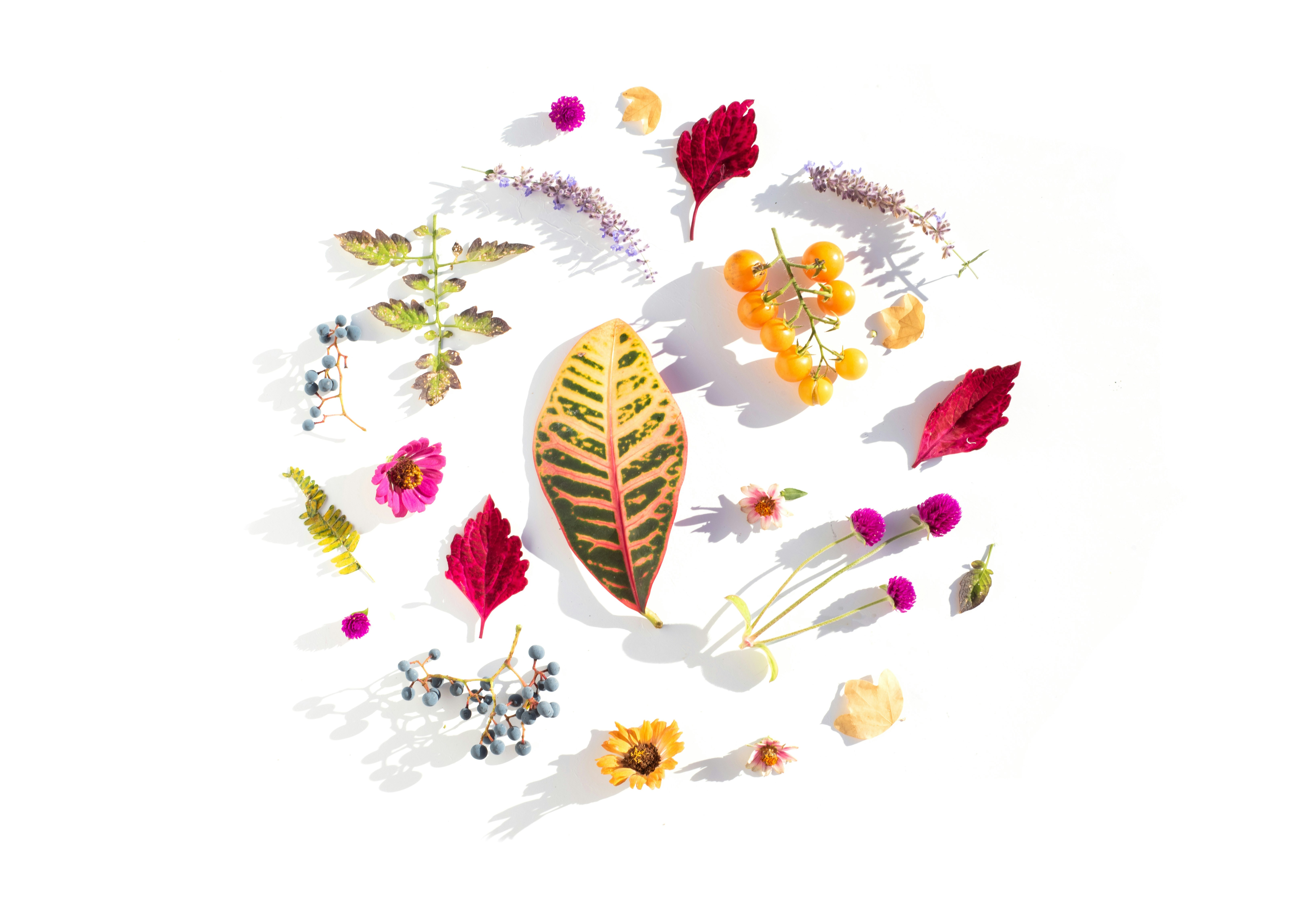 150 Gratitude Journal Prompts That Actually Work