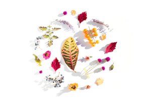 Why Waterless Skincare Is the Future