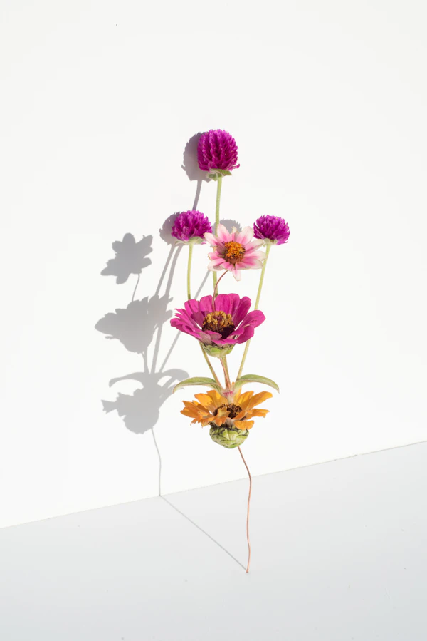 Sympathy flower arrangements