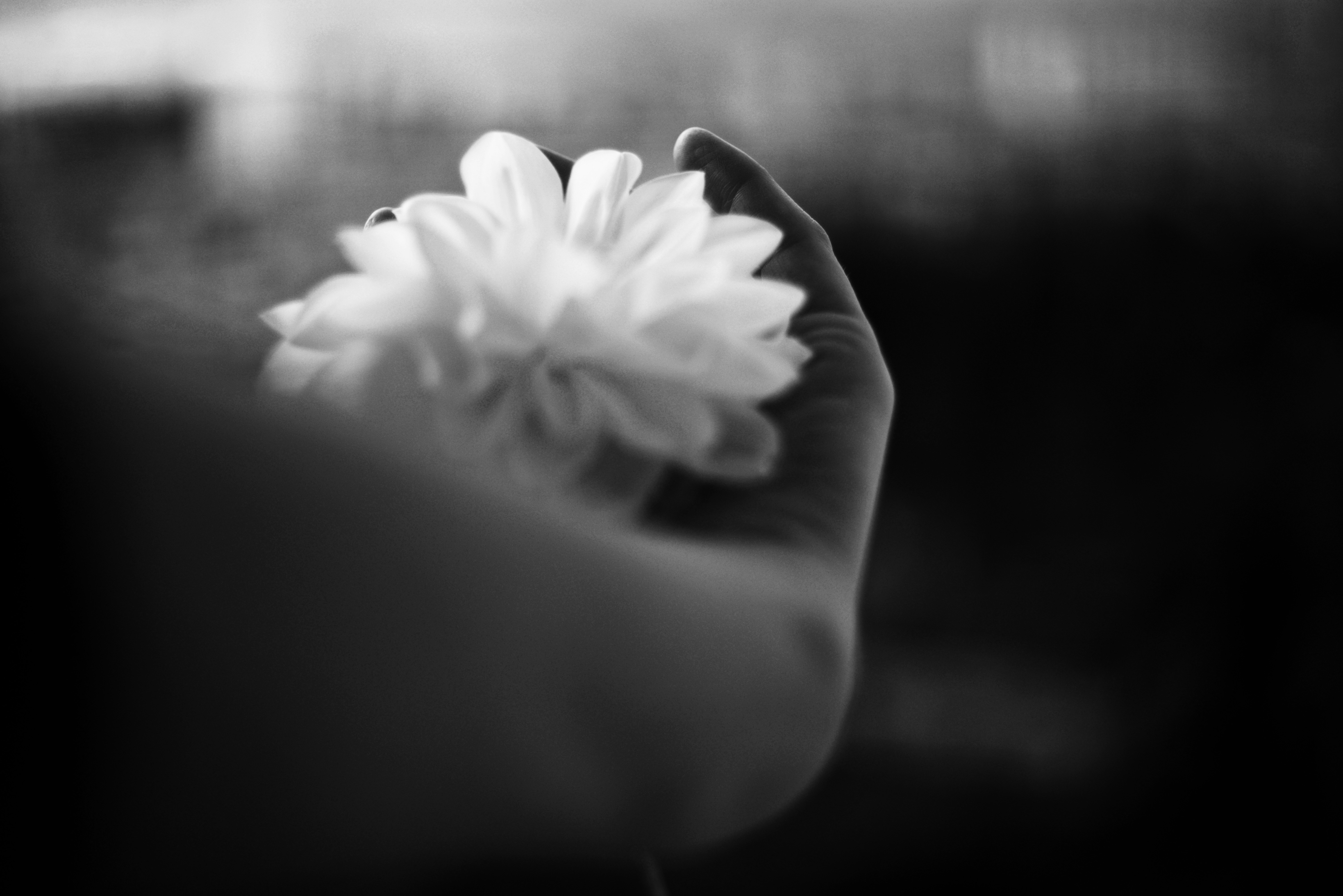 Photo by cherstve_pechivo