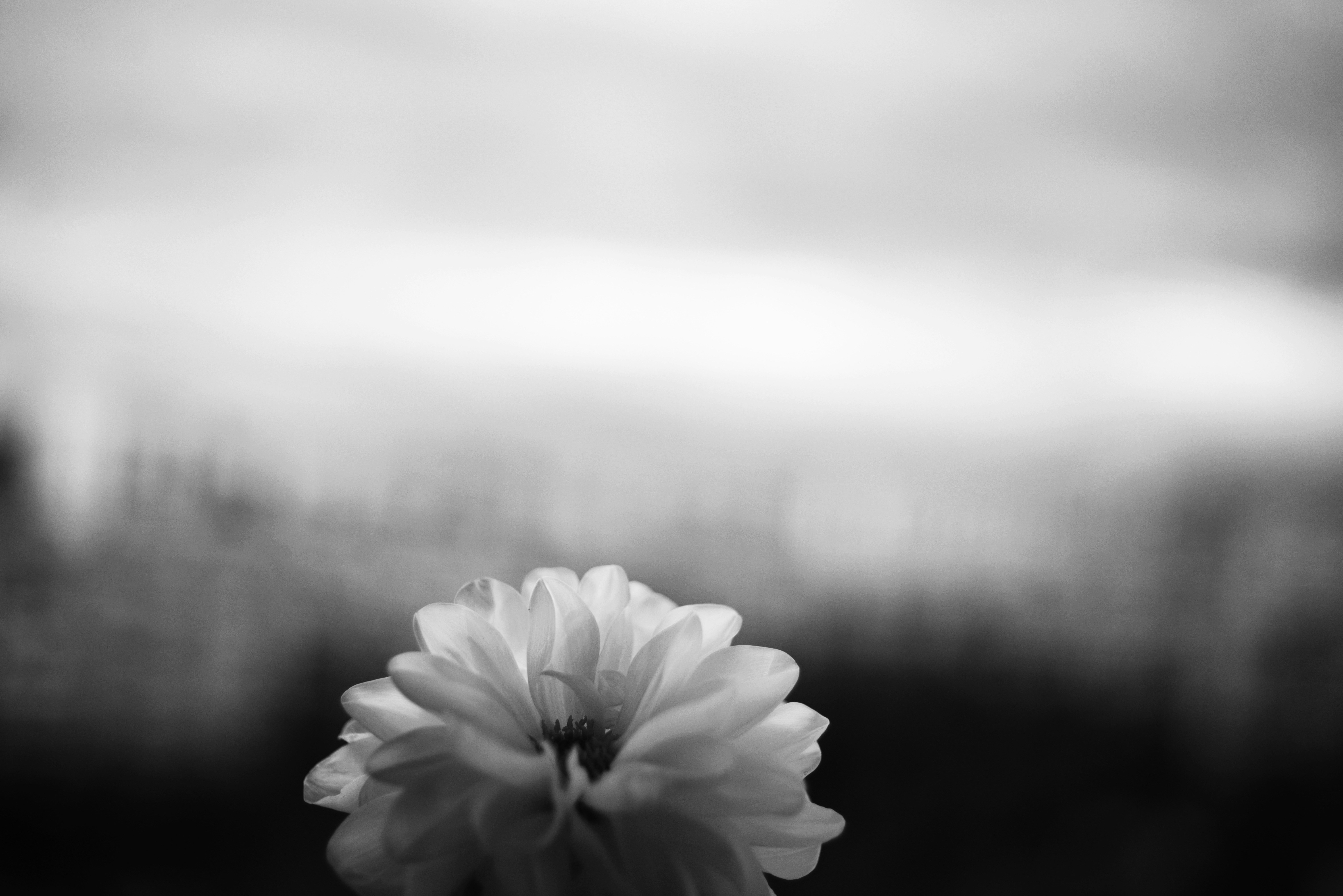 Photo by cherstve_pechivo