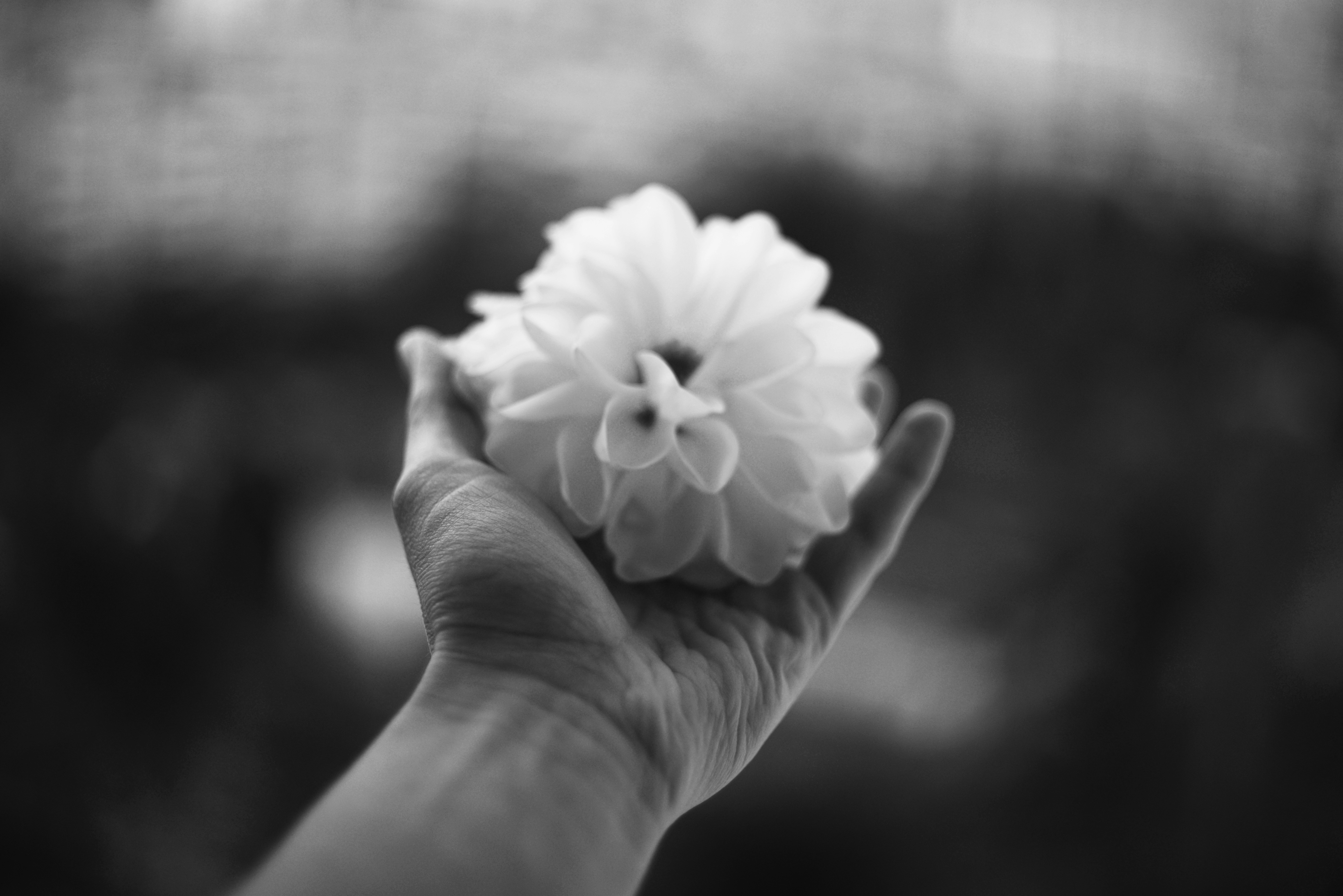 Photo by cherstve_pechivo