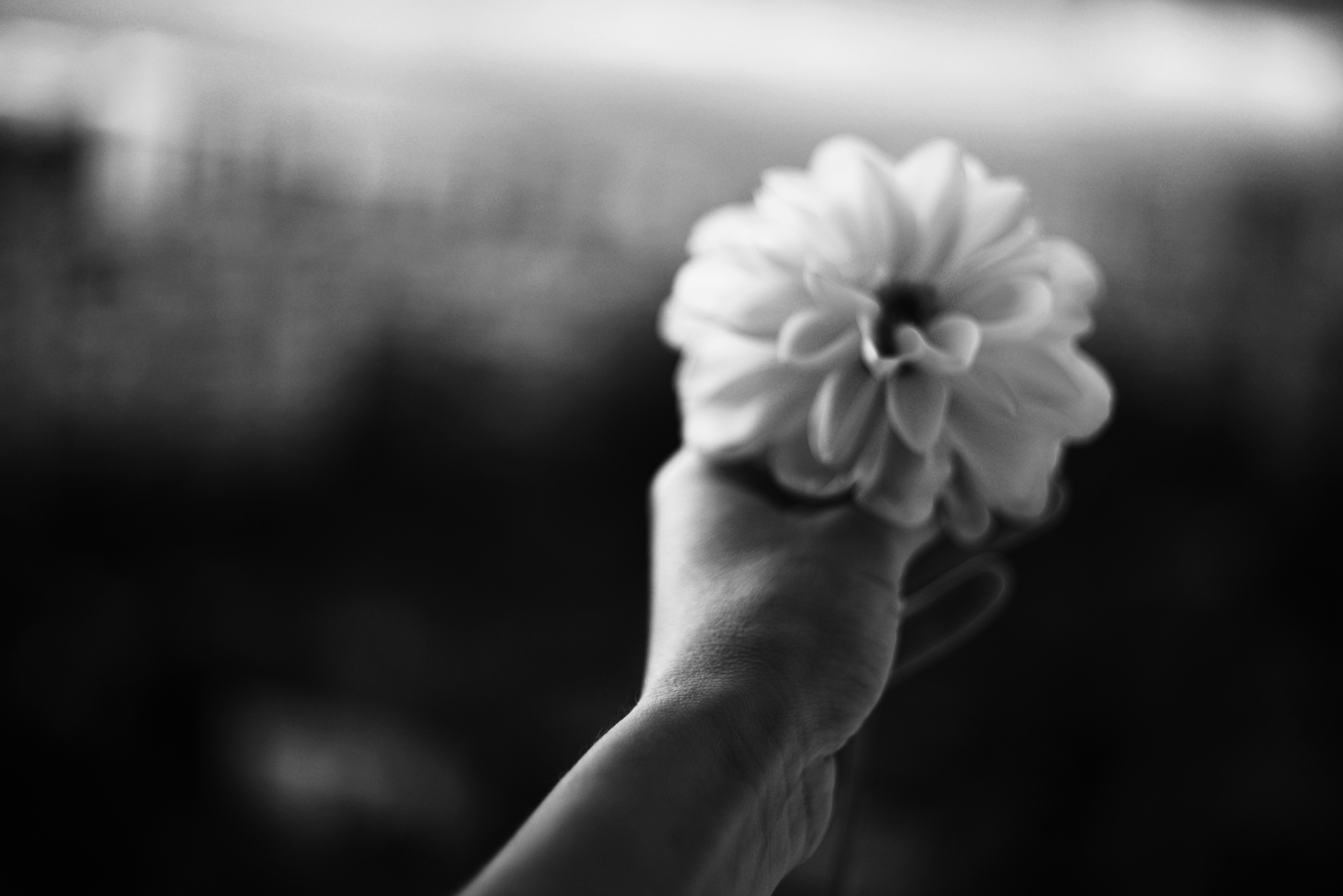 Photo by cherstve_pechivo