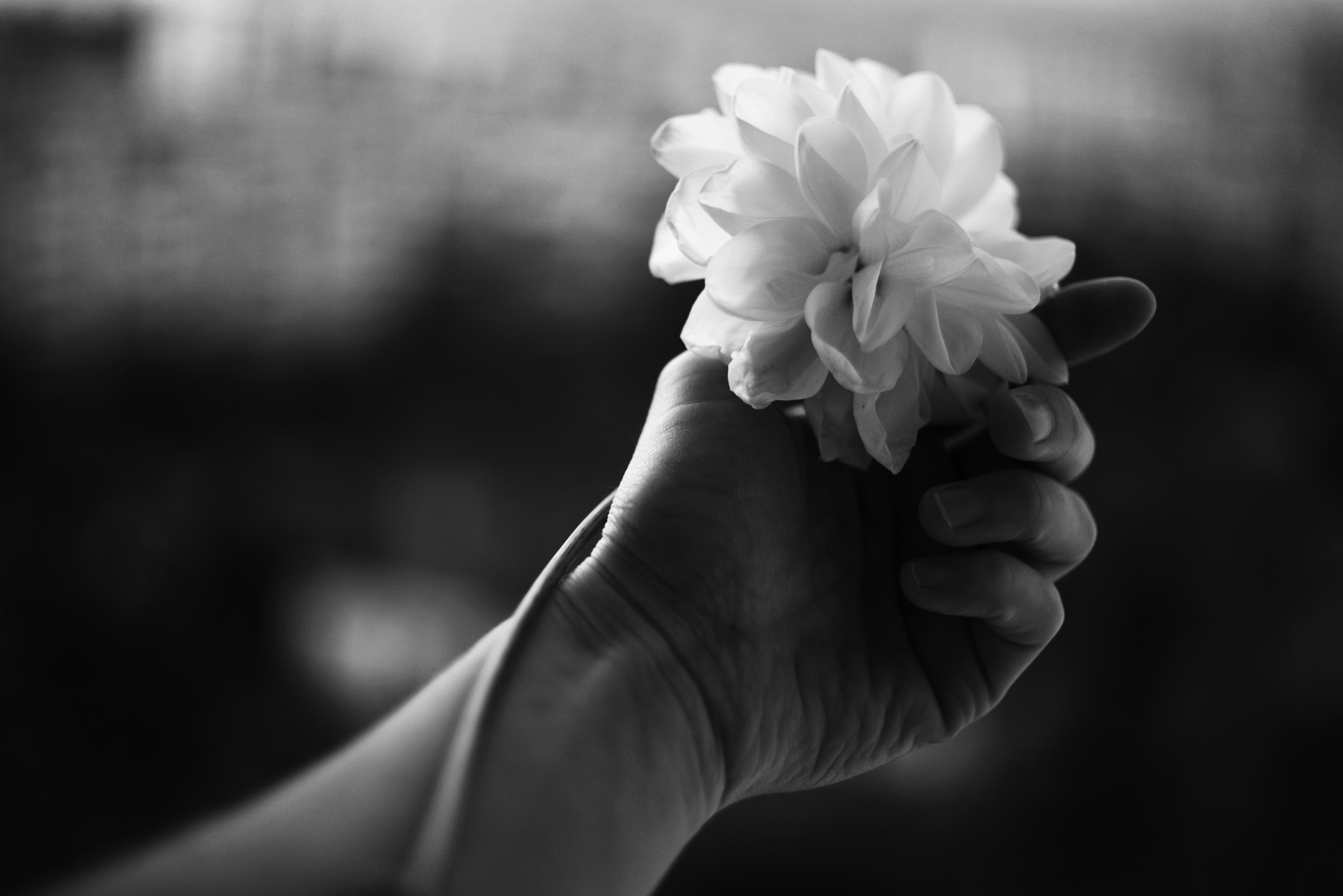 Photo by cherstve_pechivo