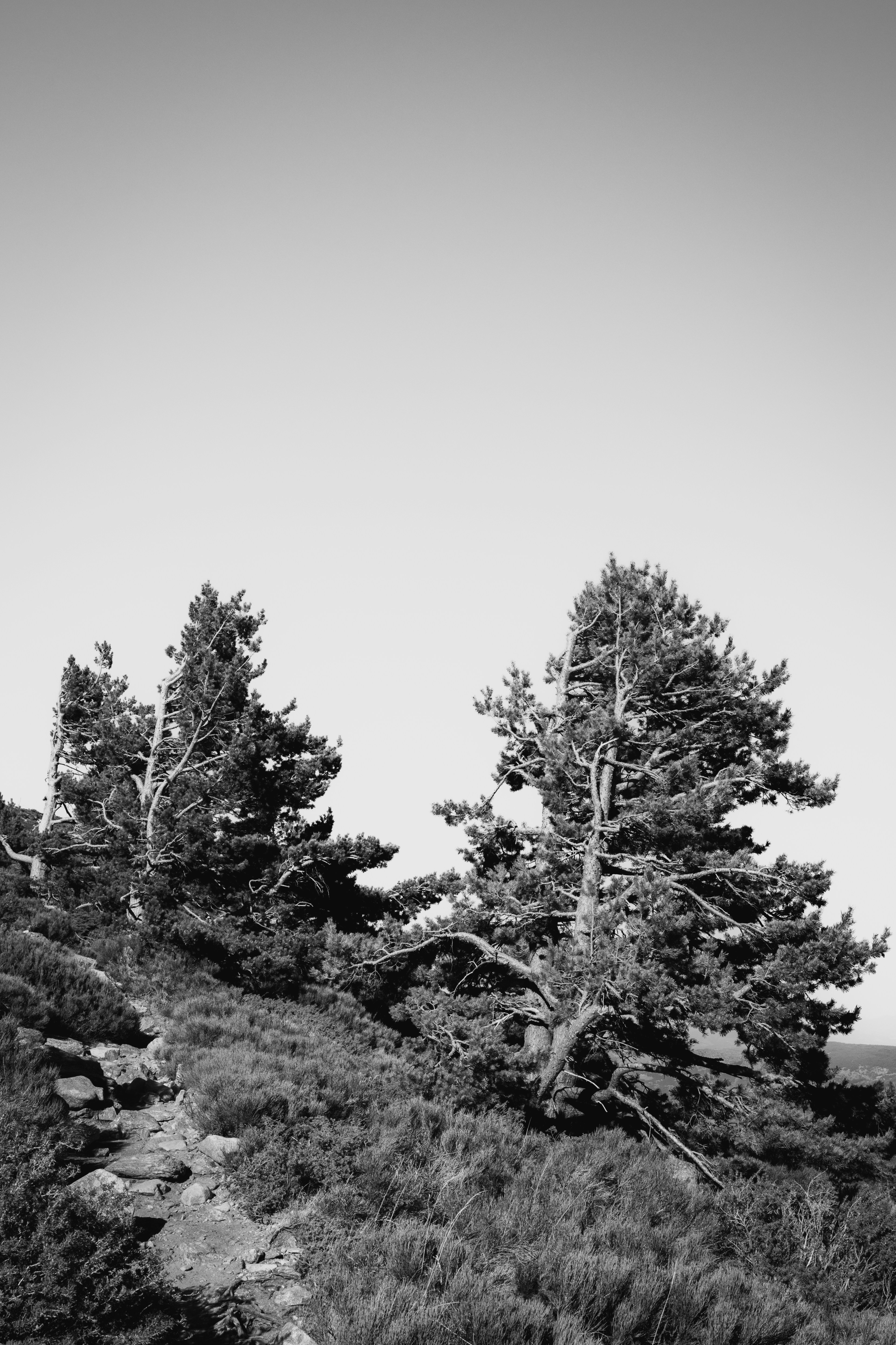 Photo by raphael_nicolas