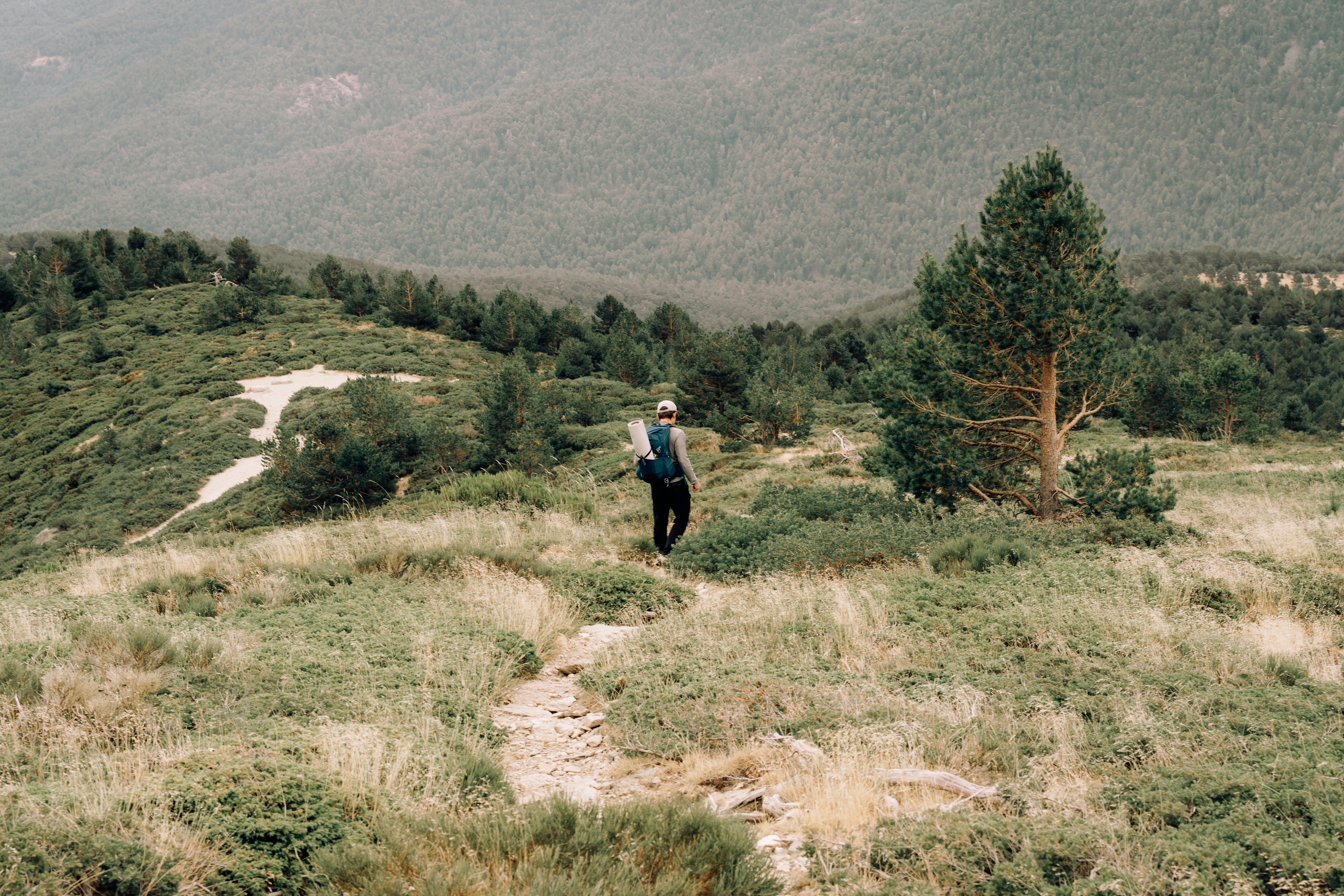 Photo by raphael_nicolas