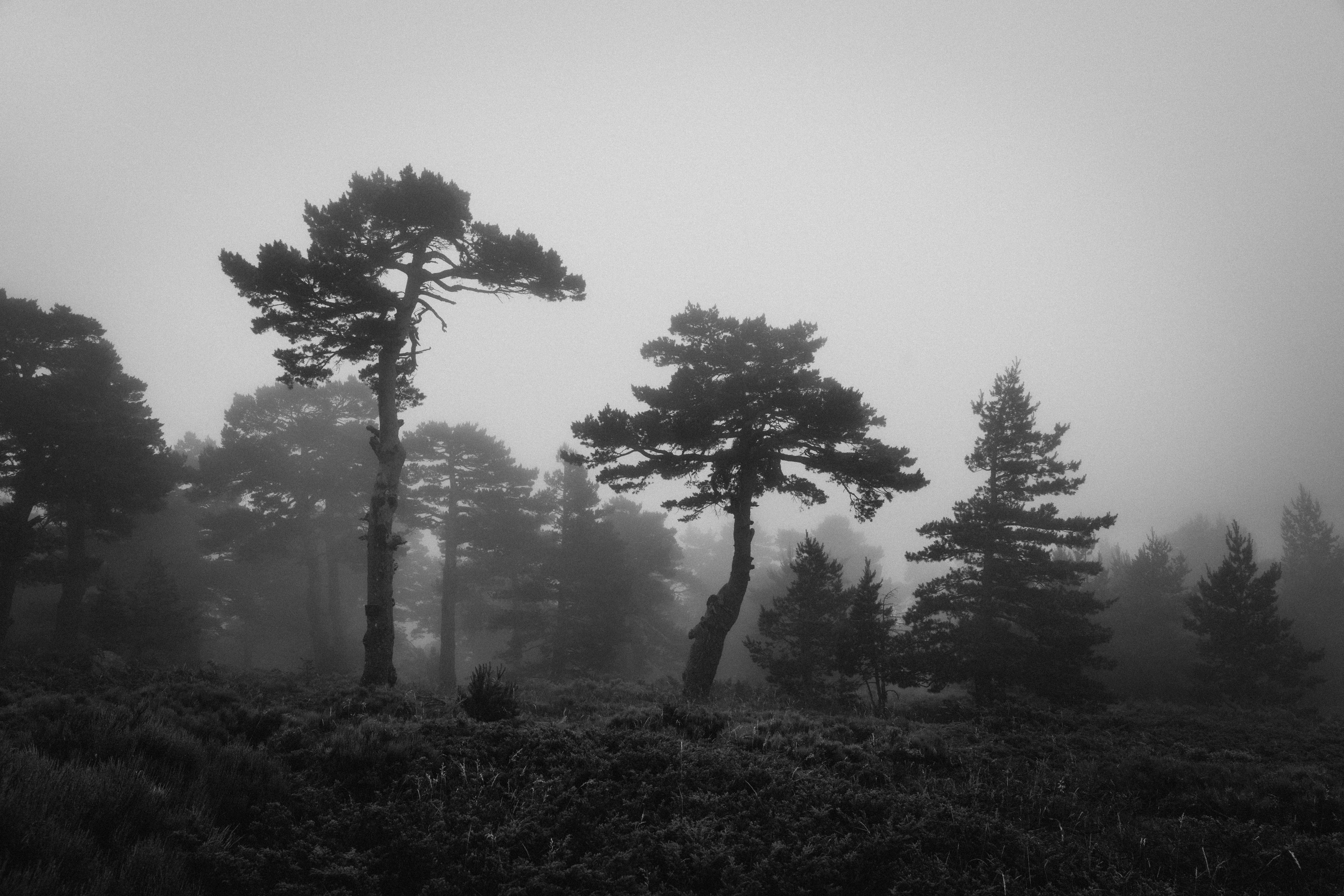 Photo by raphael_nicolas