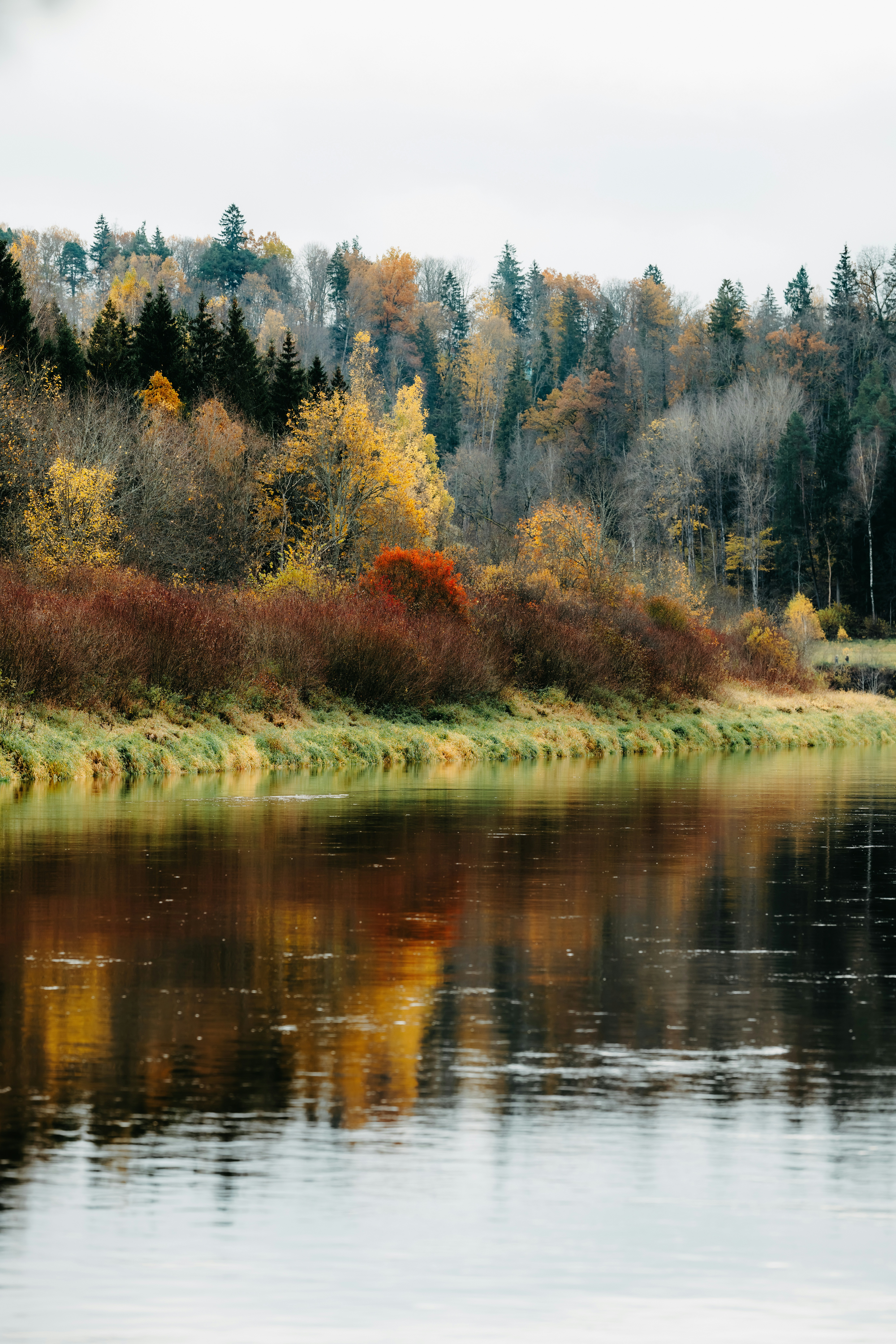 Photo by kristapsungurs