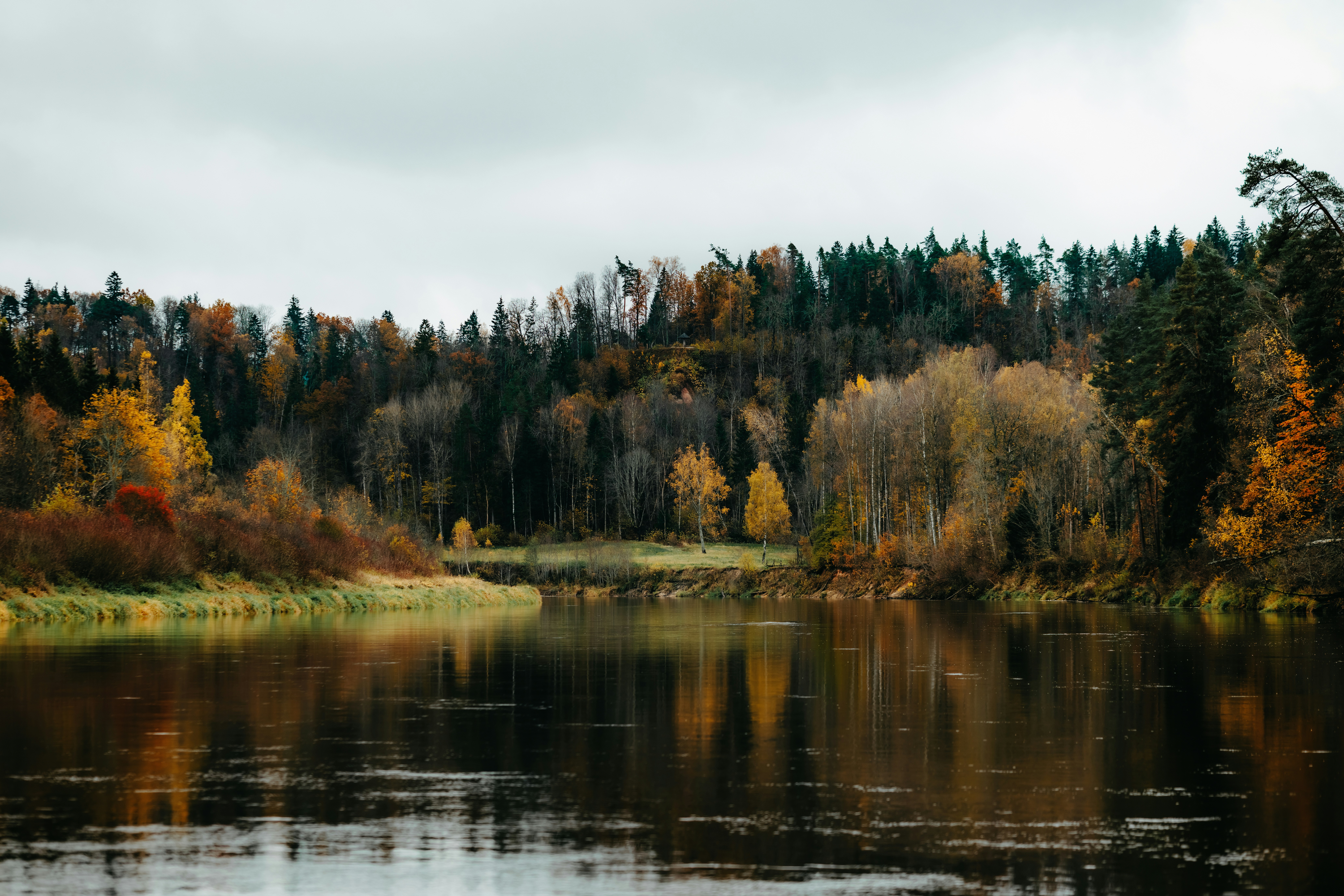 Photo by kristapsungurs