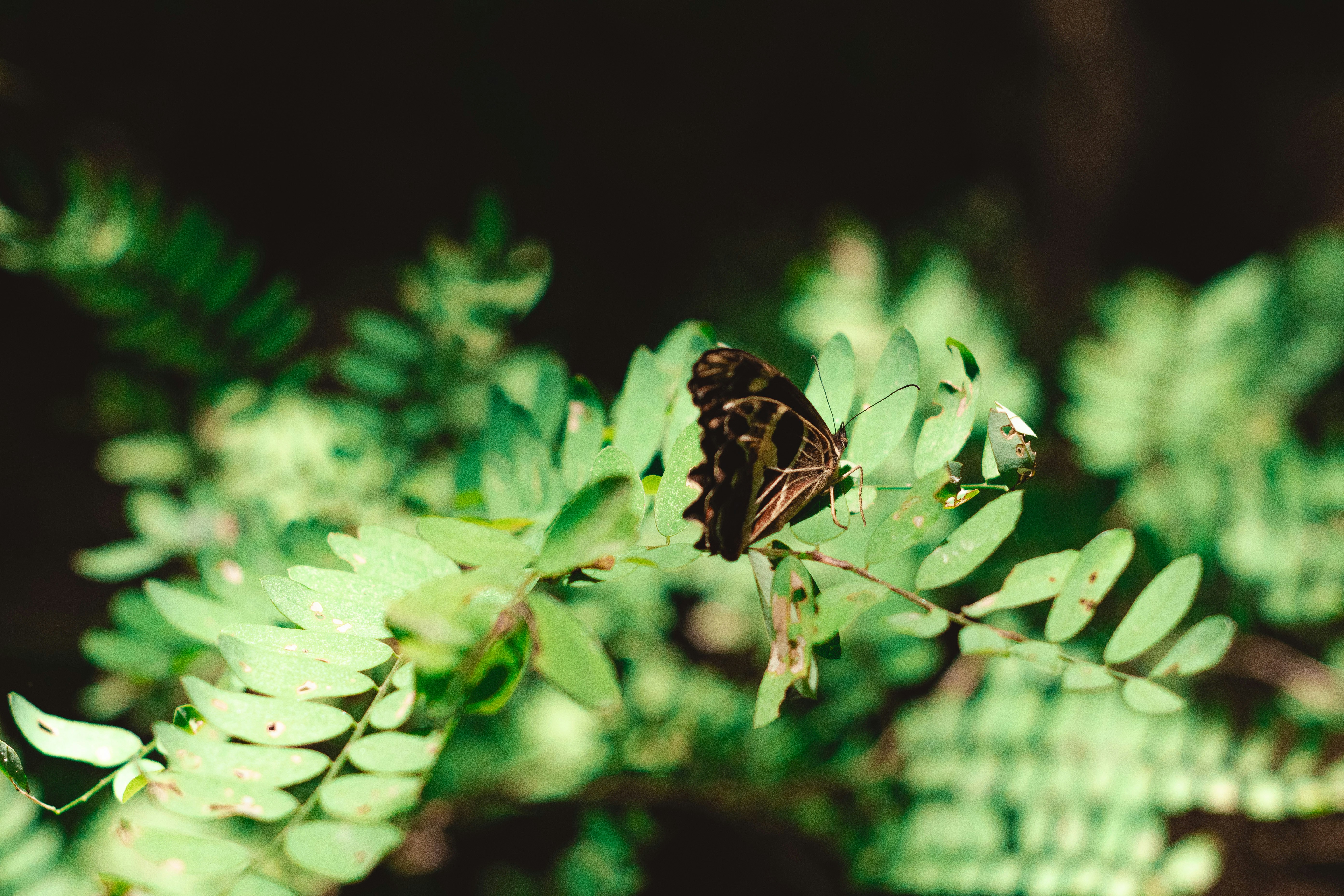 Photo by manuel_asturias