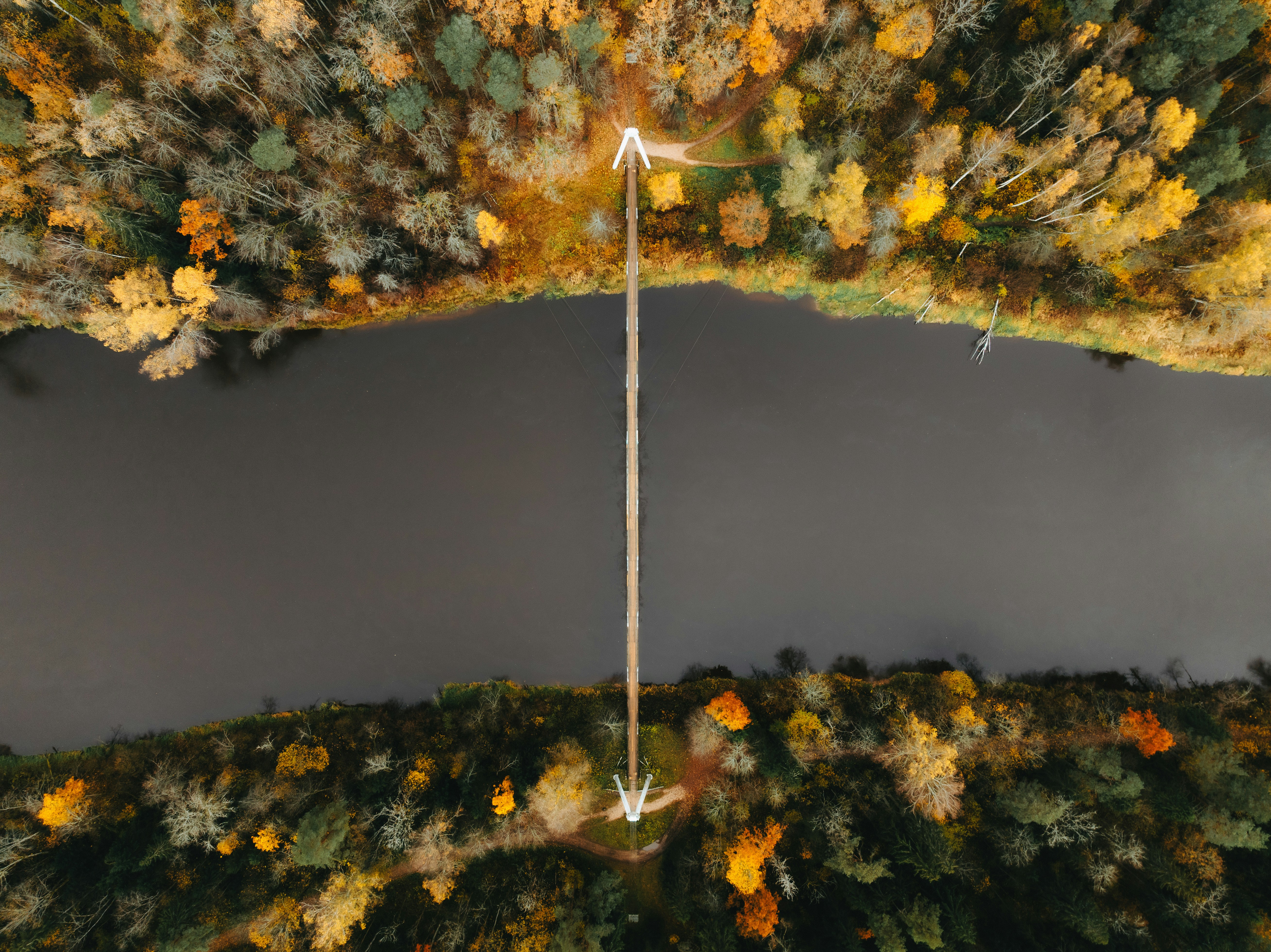 Photo by kristapsungurs